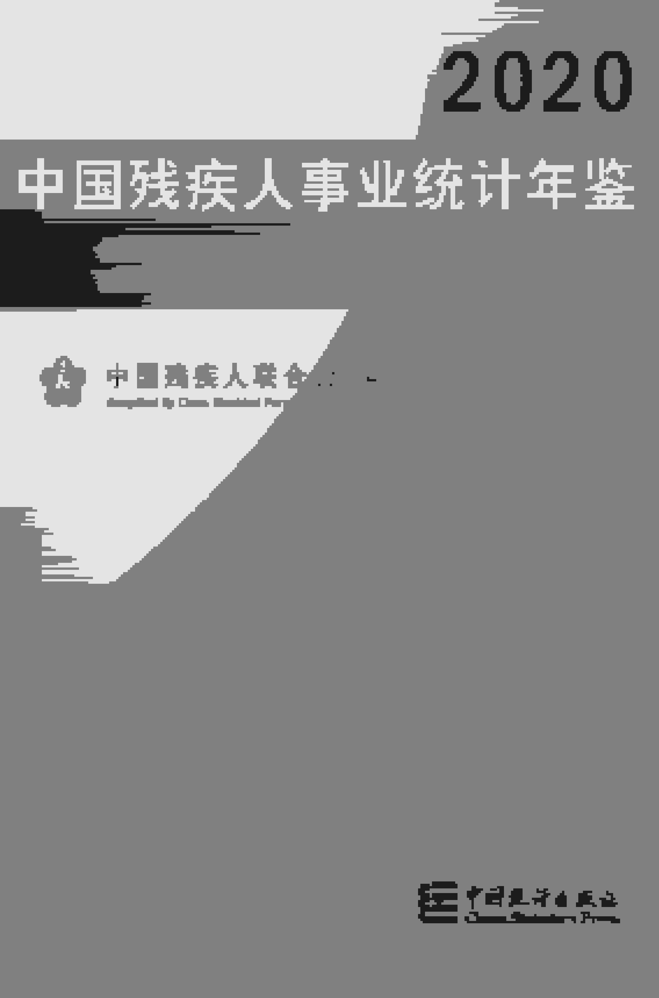 2020年中国残疾人事业统计年鉴封面