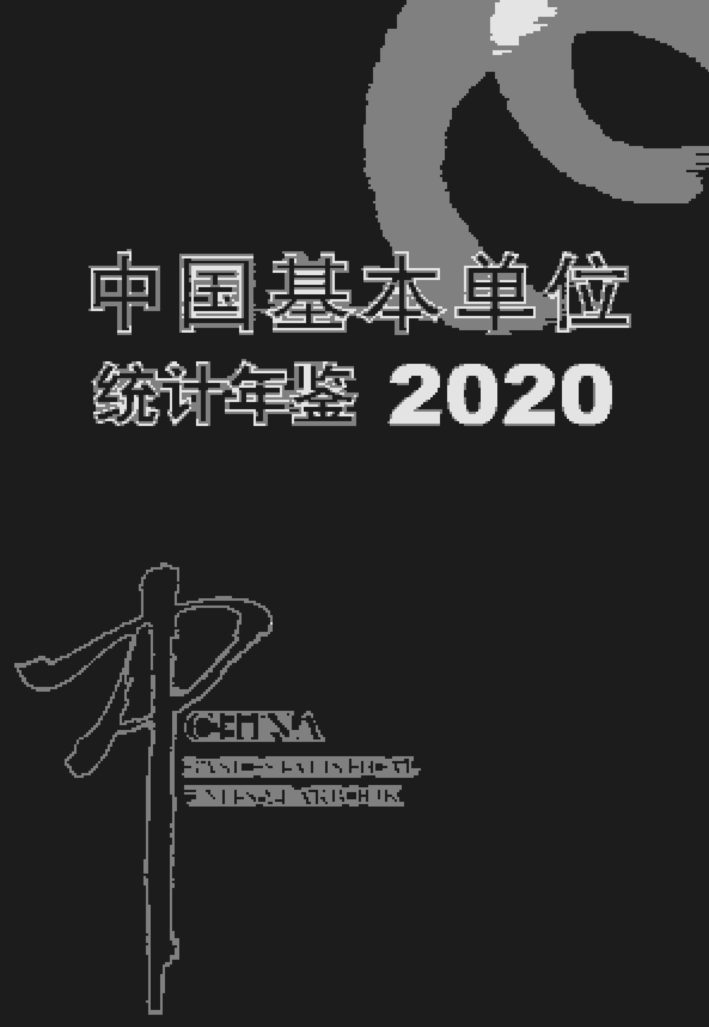 2020年中国基本单位统计年鉴封面