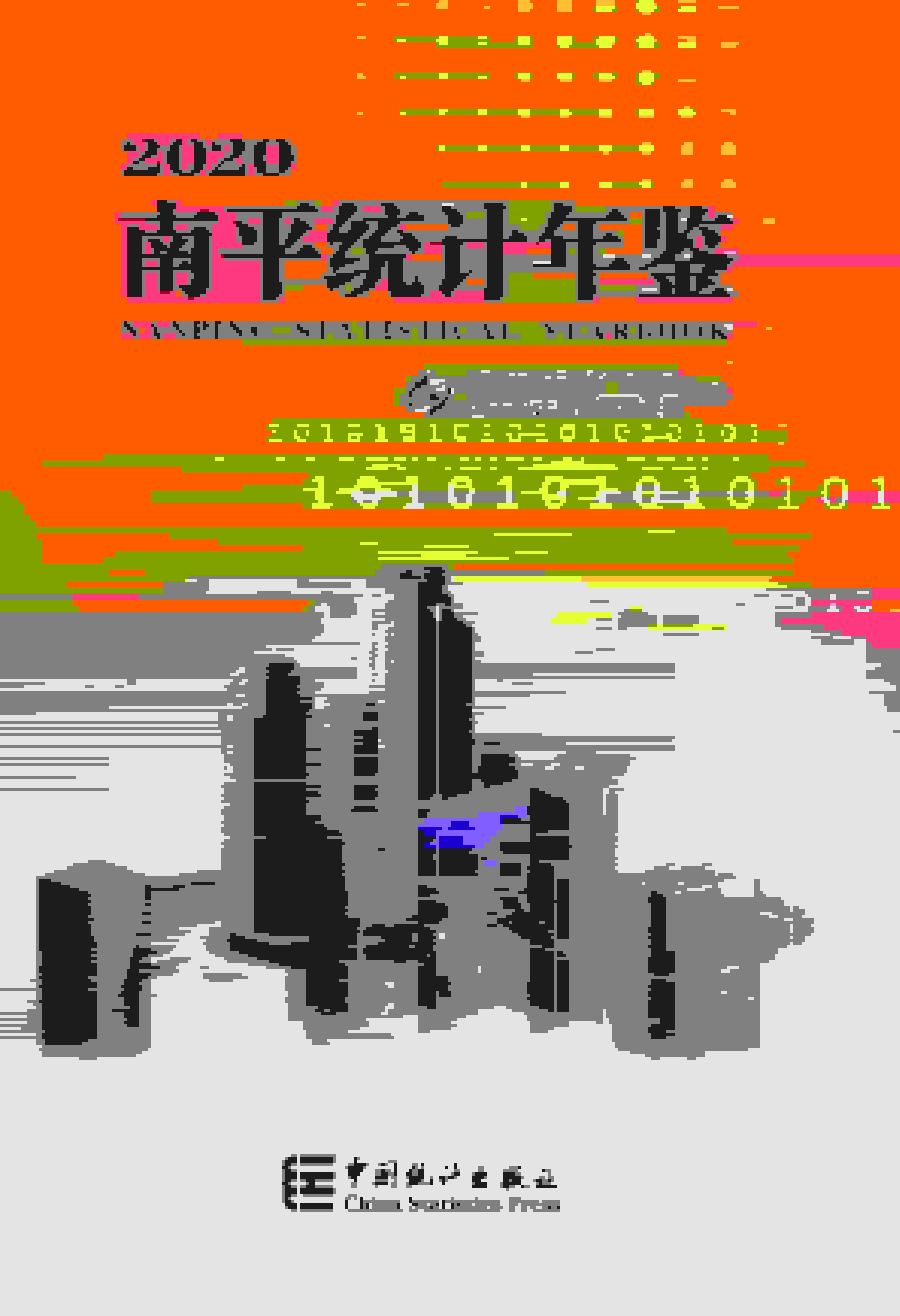 2020年南平统计年鉴封面
