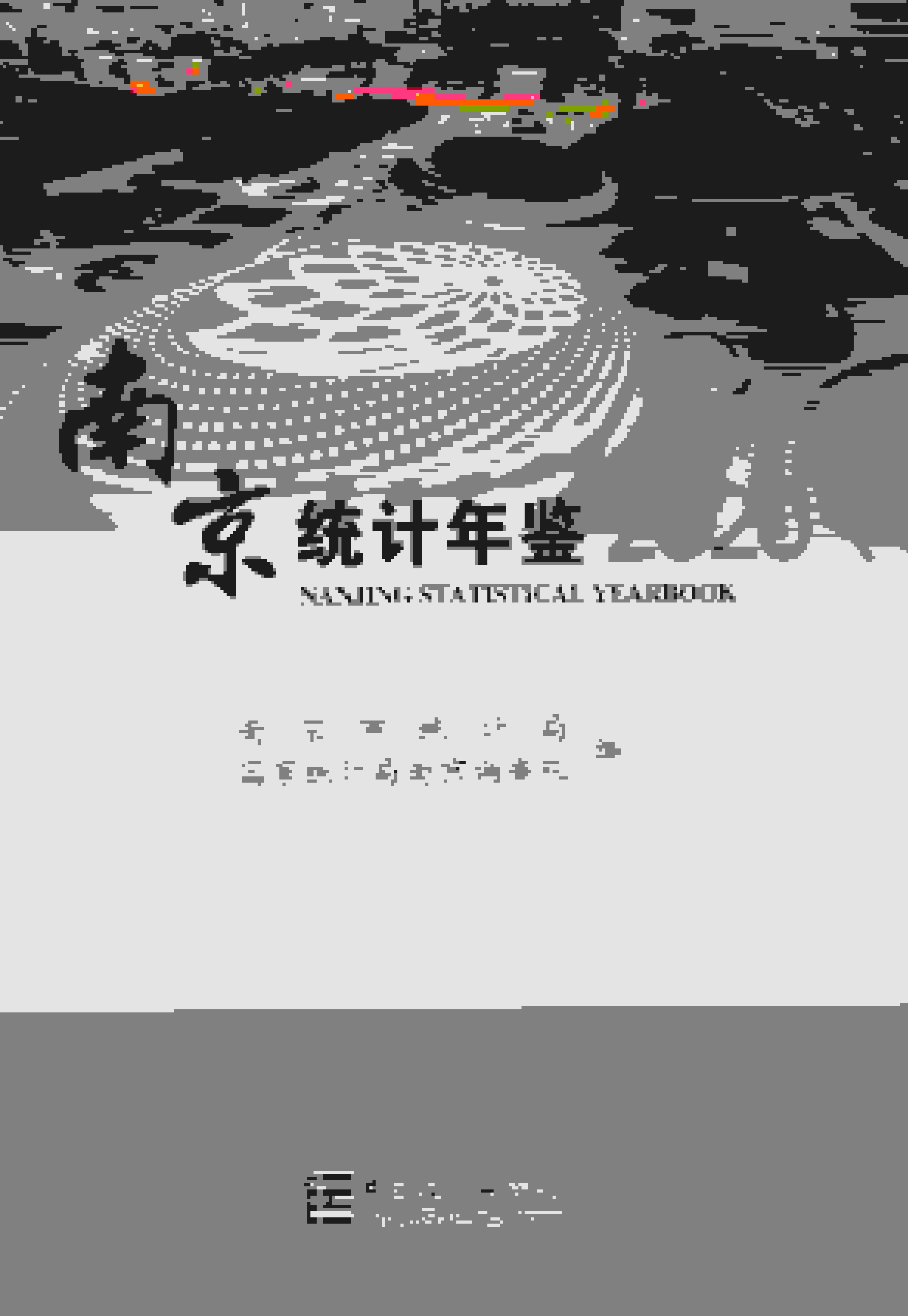 2020年南京统计年鉴封面