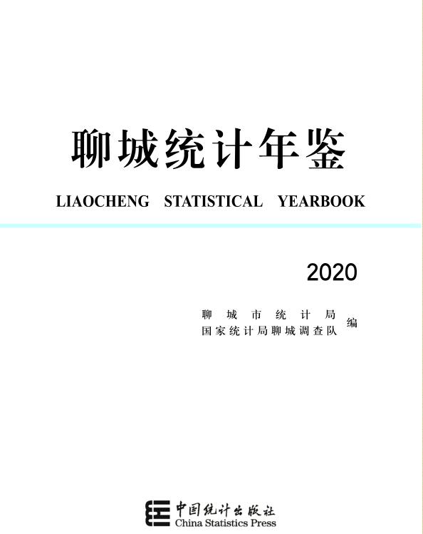 2020年聊城统计年鉴封面