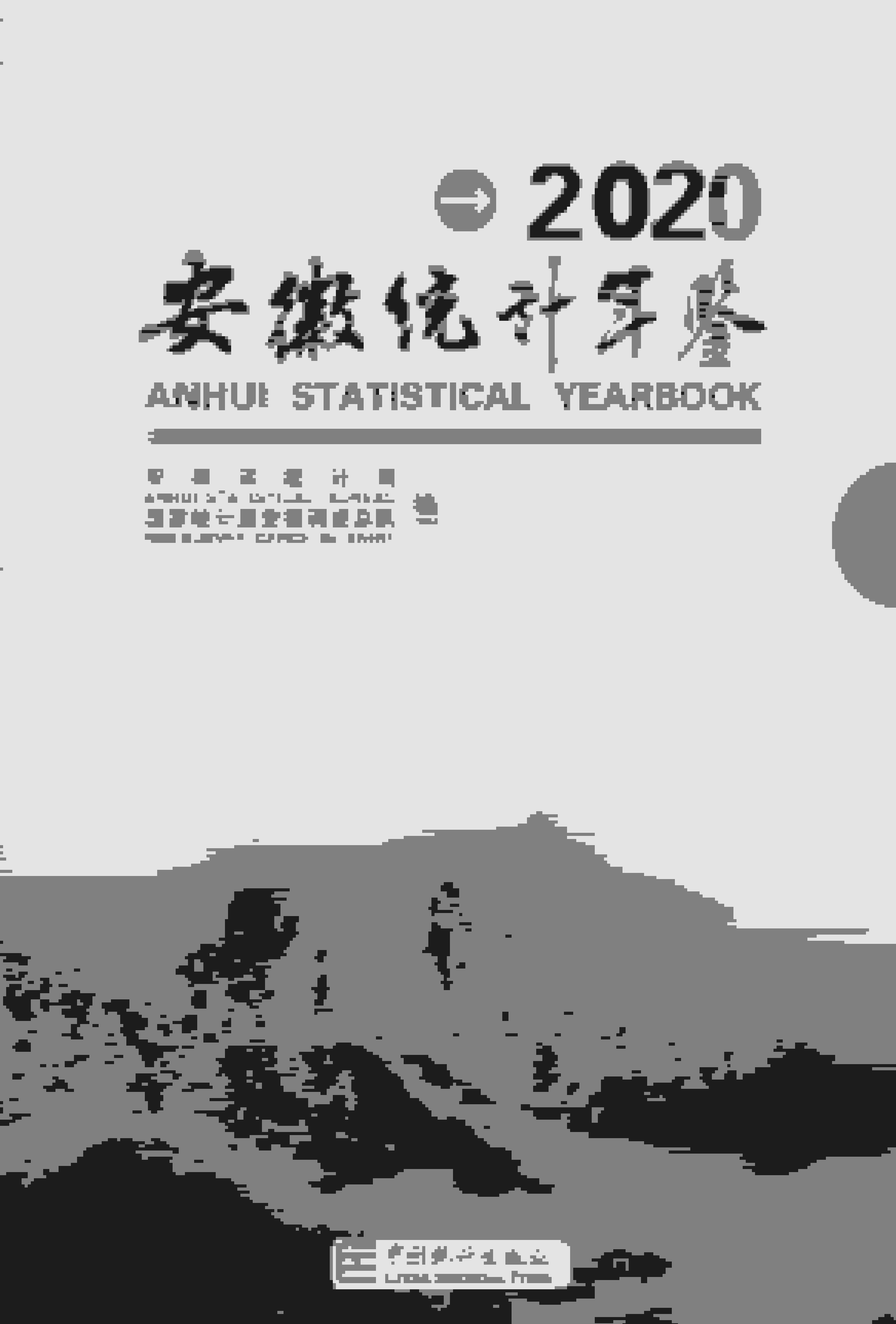 2020年安徽统计年鉴封面