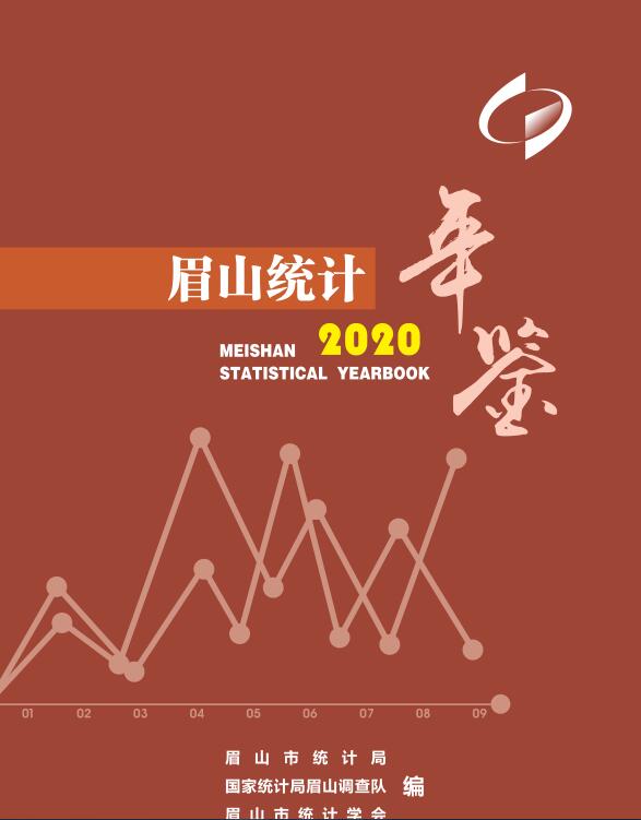 2020年眉山统计年鉴封面