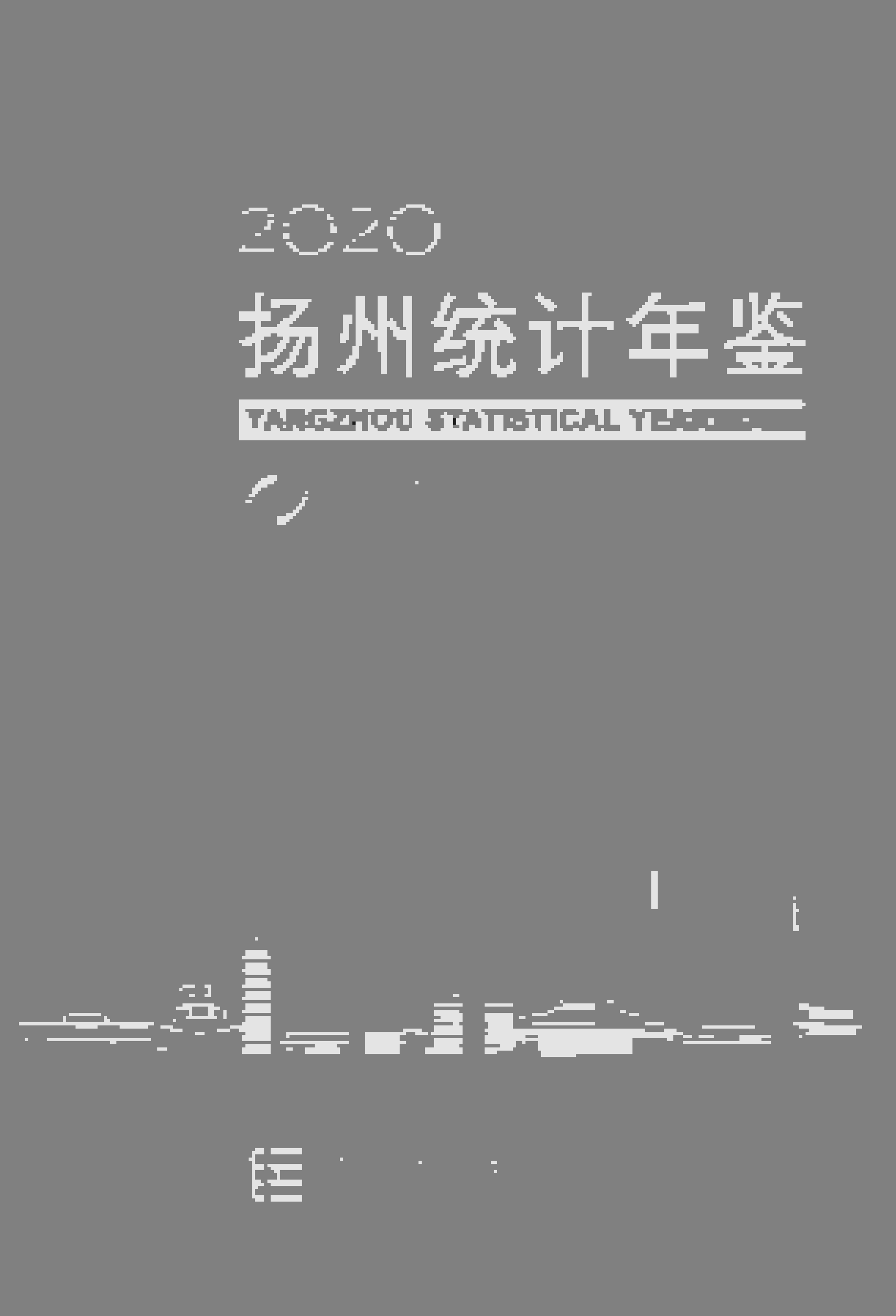 2020年扬州统计年鉴封面