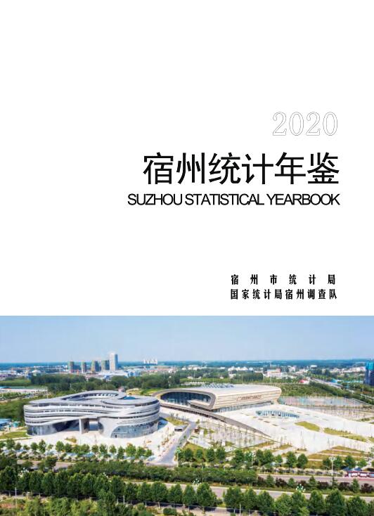 2020年宿州统计年鉴封面