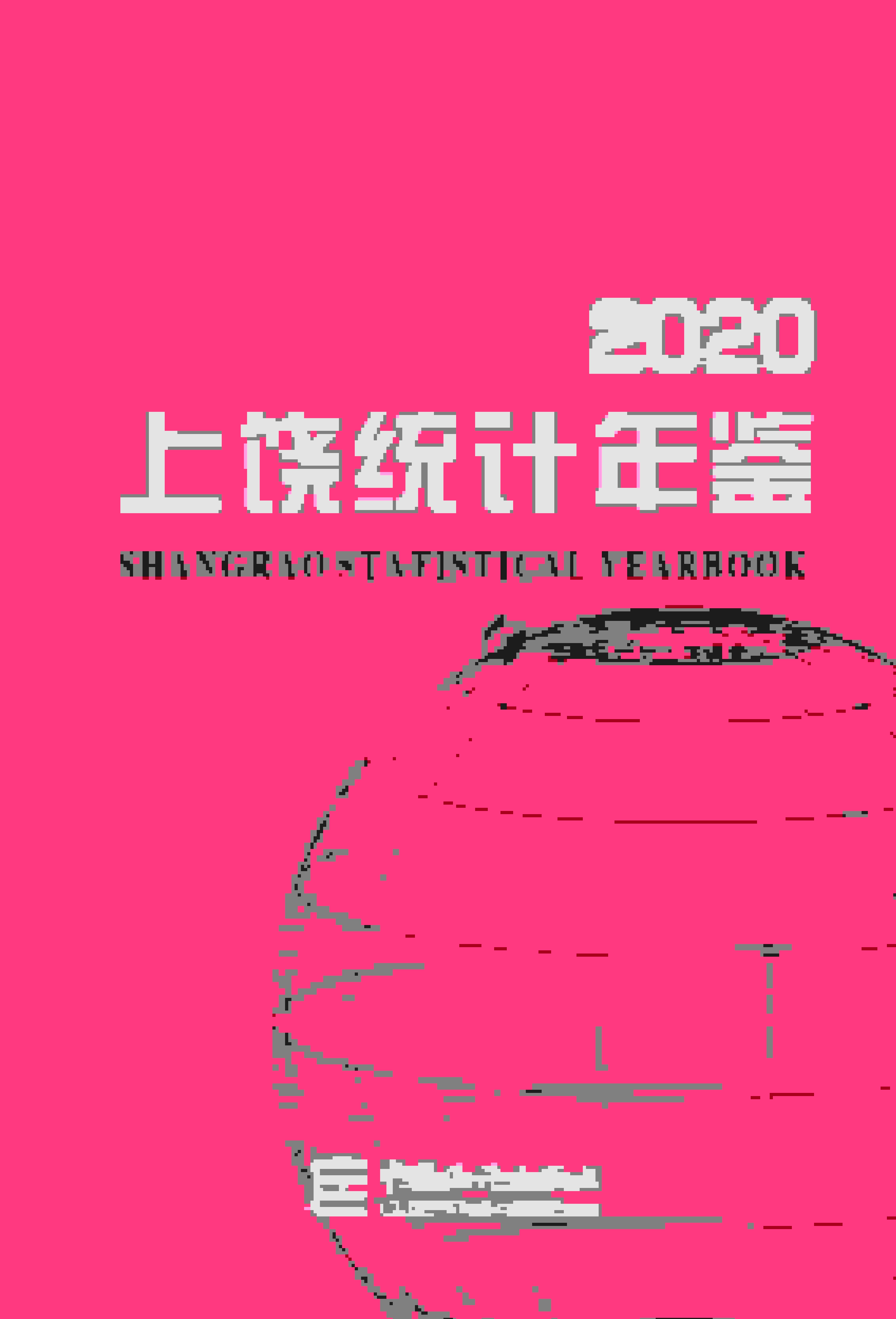 2020年上饶统计年鉴封面