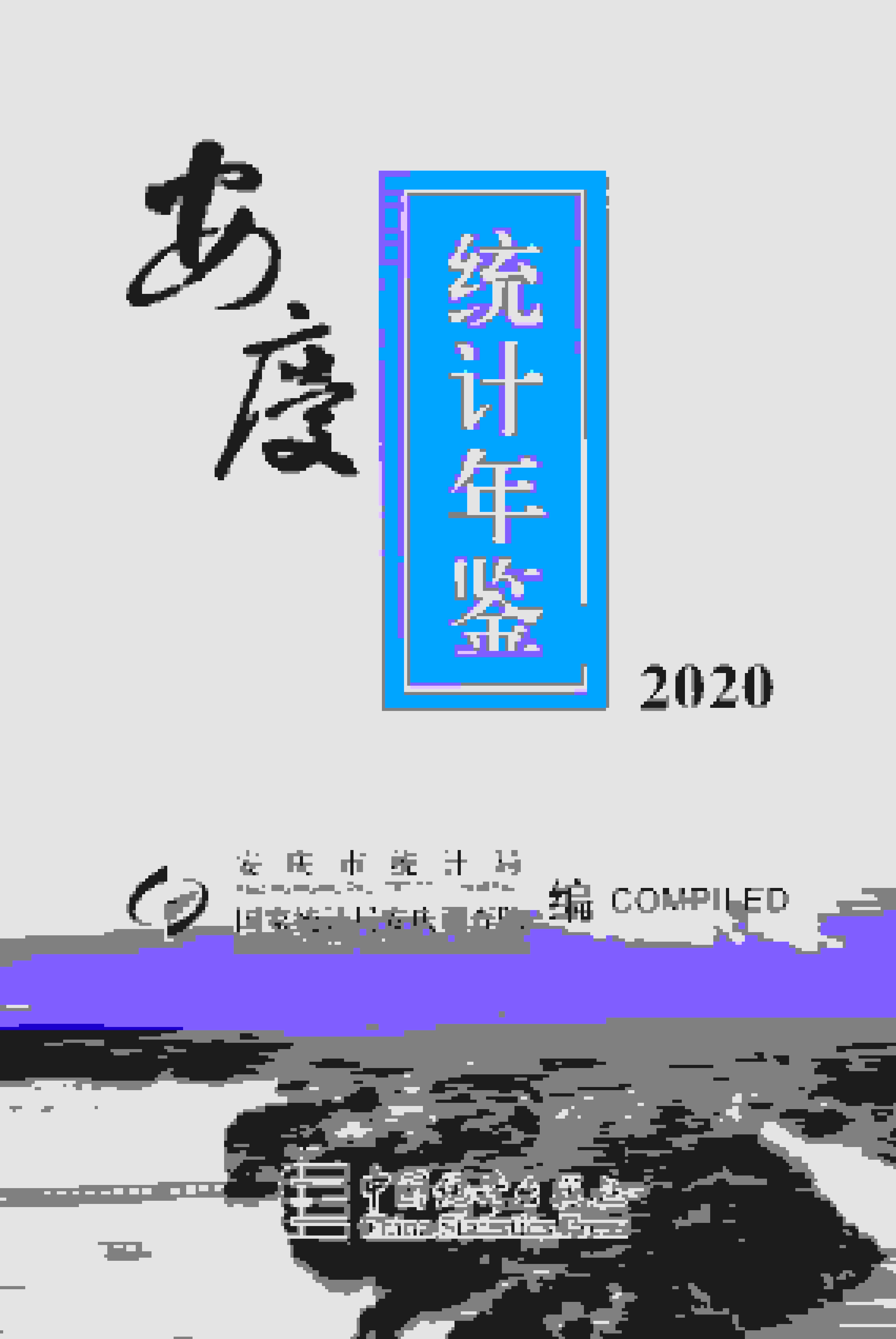 2020年安庆统计年鉴封面