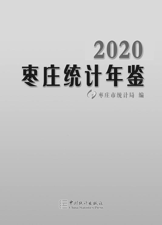 2020年枣庄统计年鉴封面