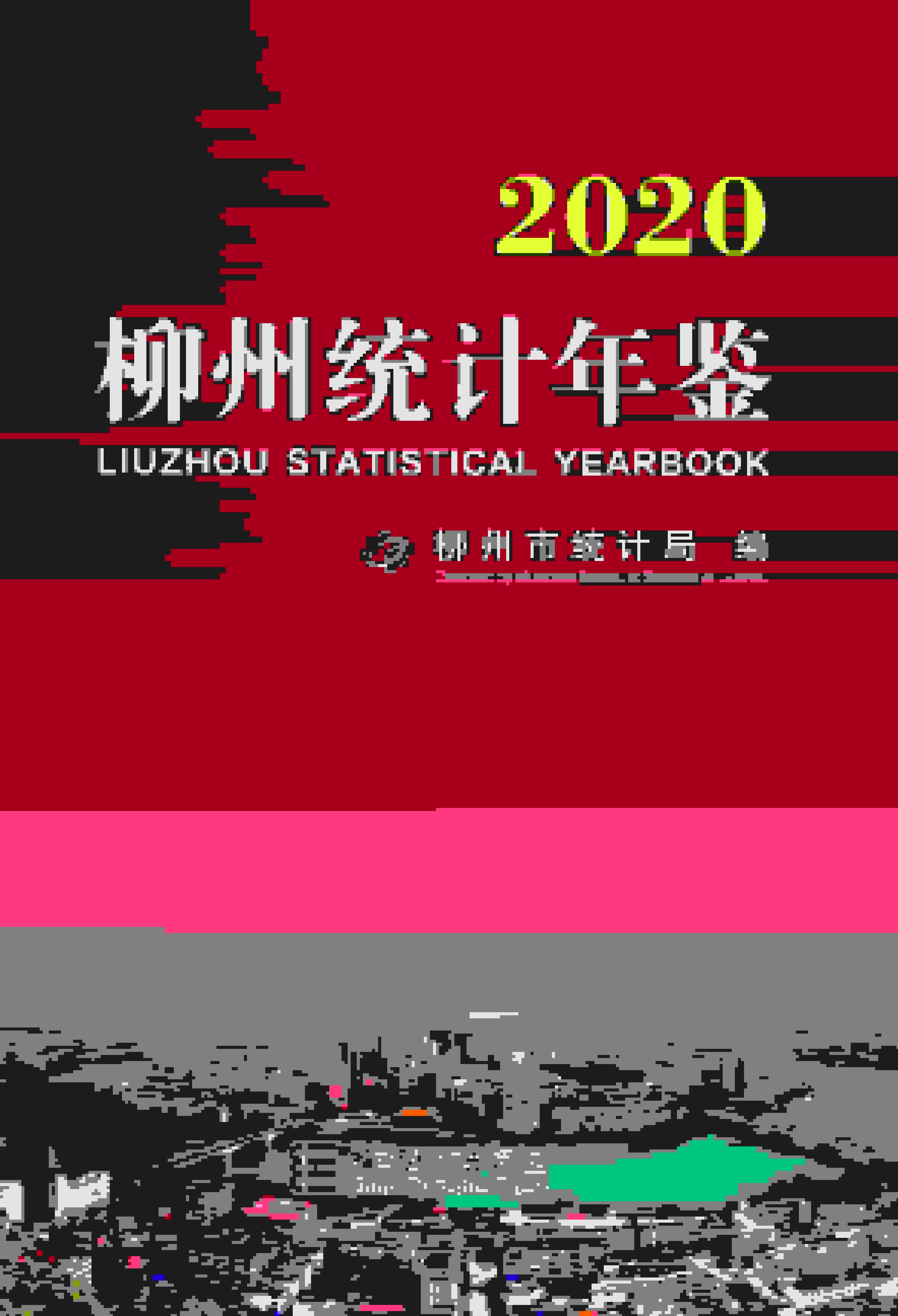 2020年柳州统计年鉴封面
