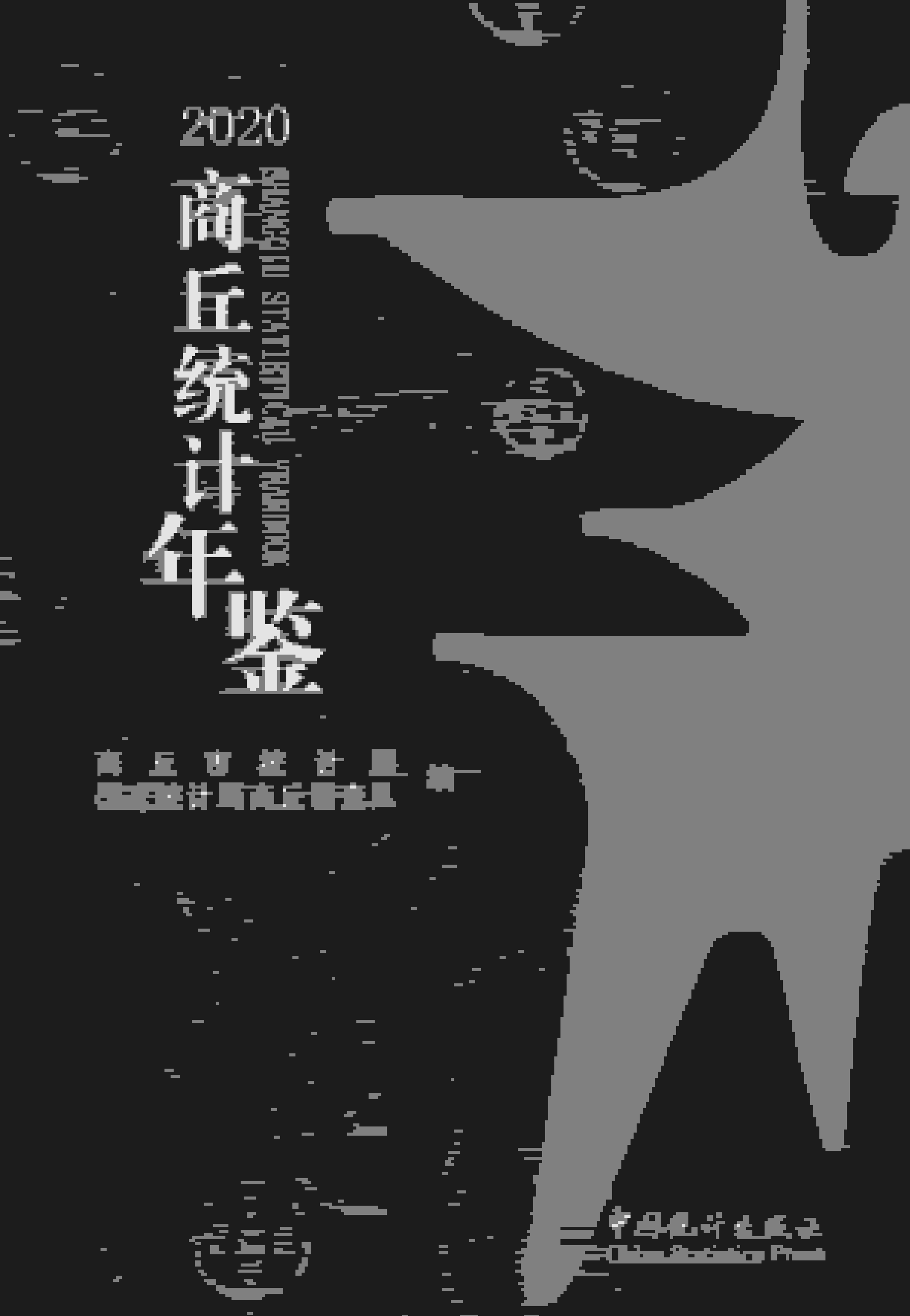 2020年商丘统计年鉴封面