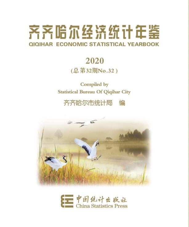 2020年齐齐哈尔经济统计年鉴封面