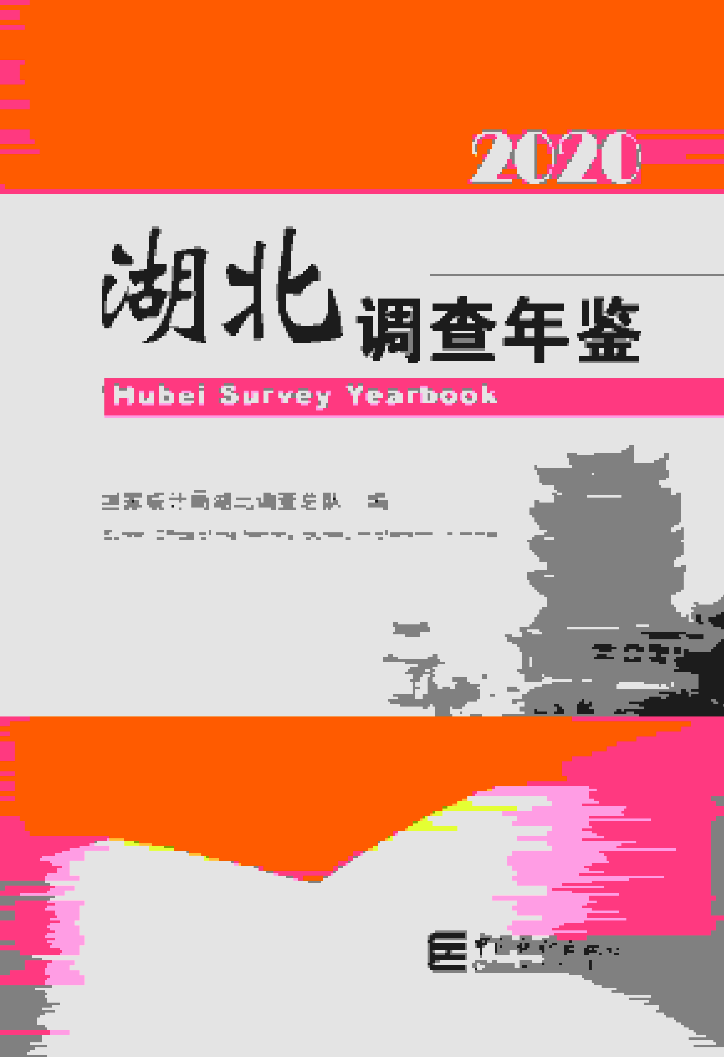 2020年湖北调查年鉴封面