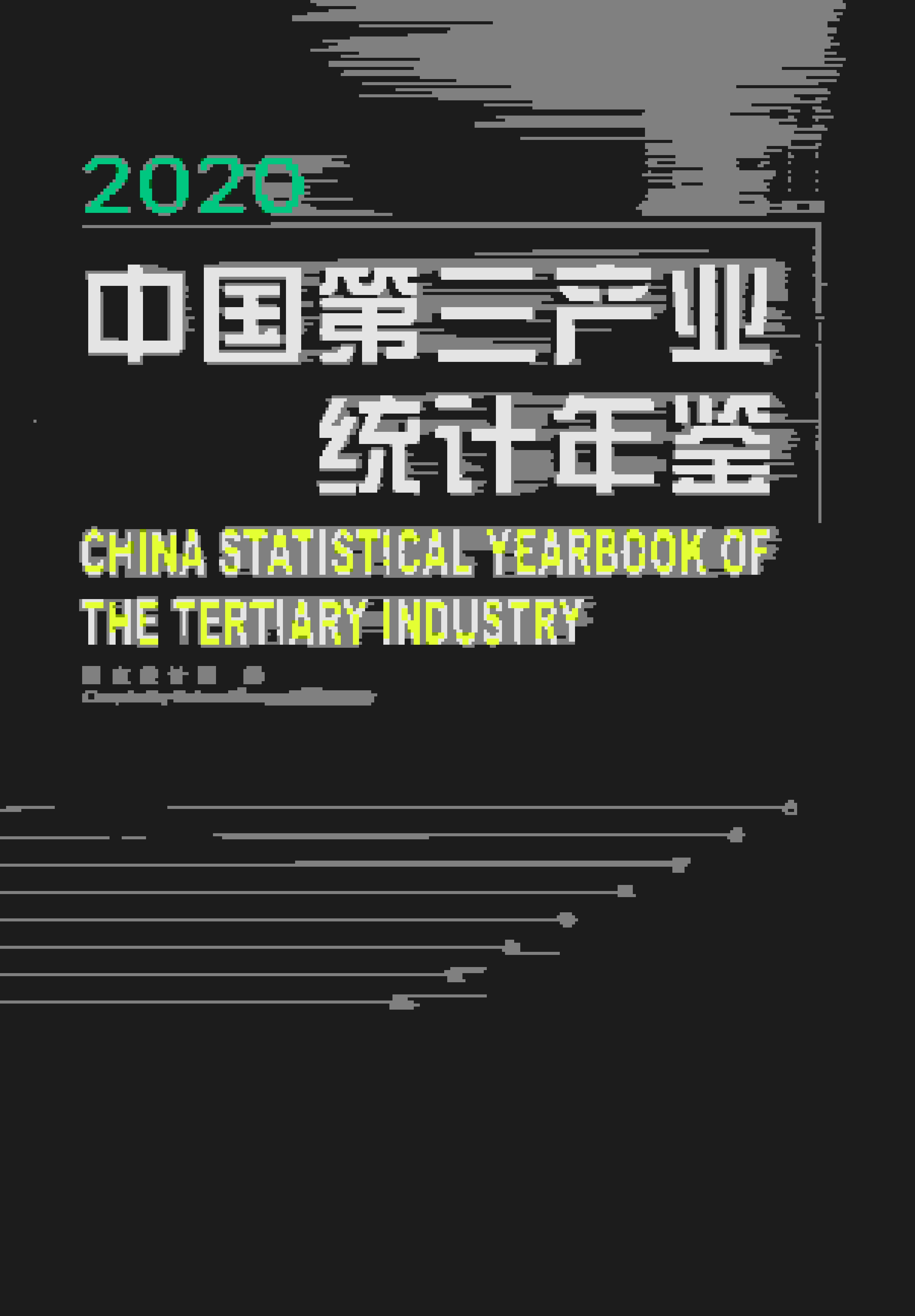 2020年中国第三产业统计年鉴封面