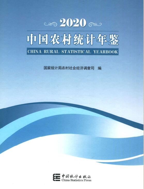 2020年中国农村统计年鉴封面
