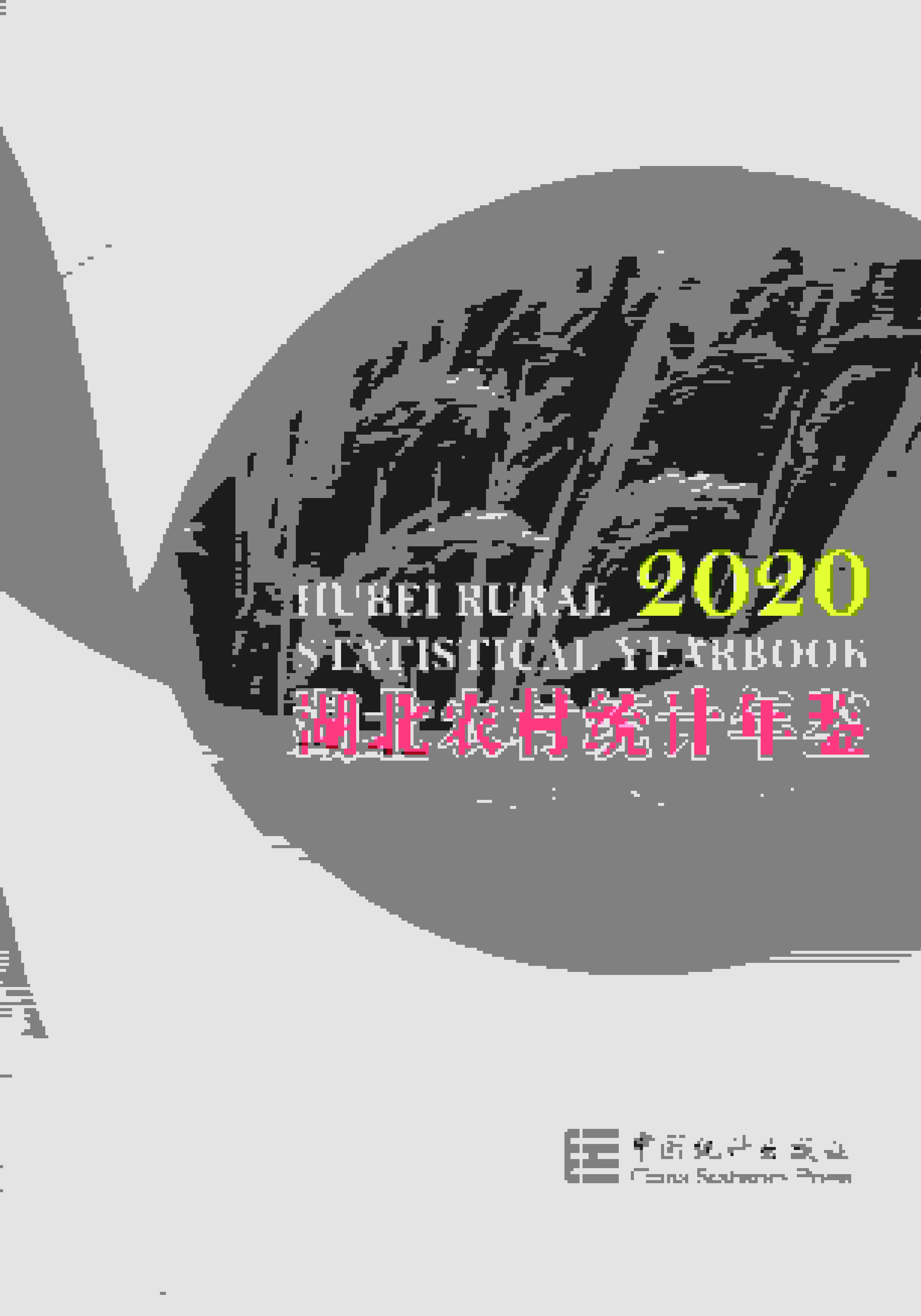 2020年湖北农村统计年鉴封面