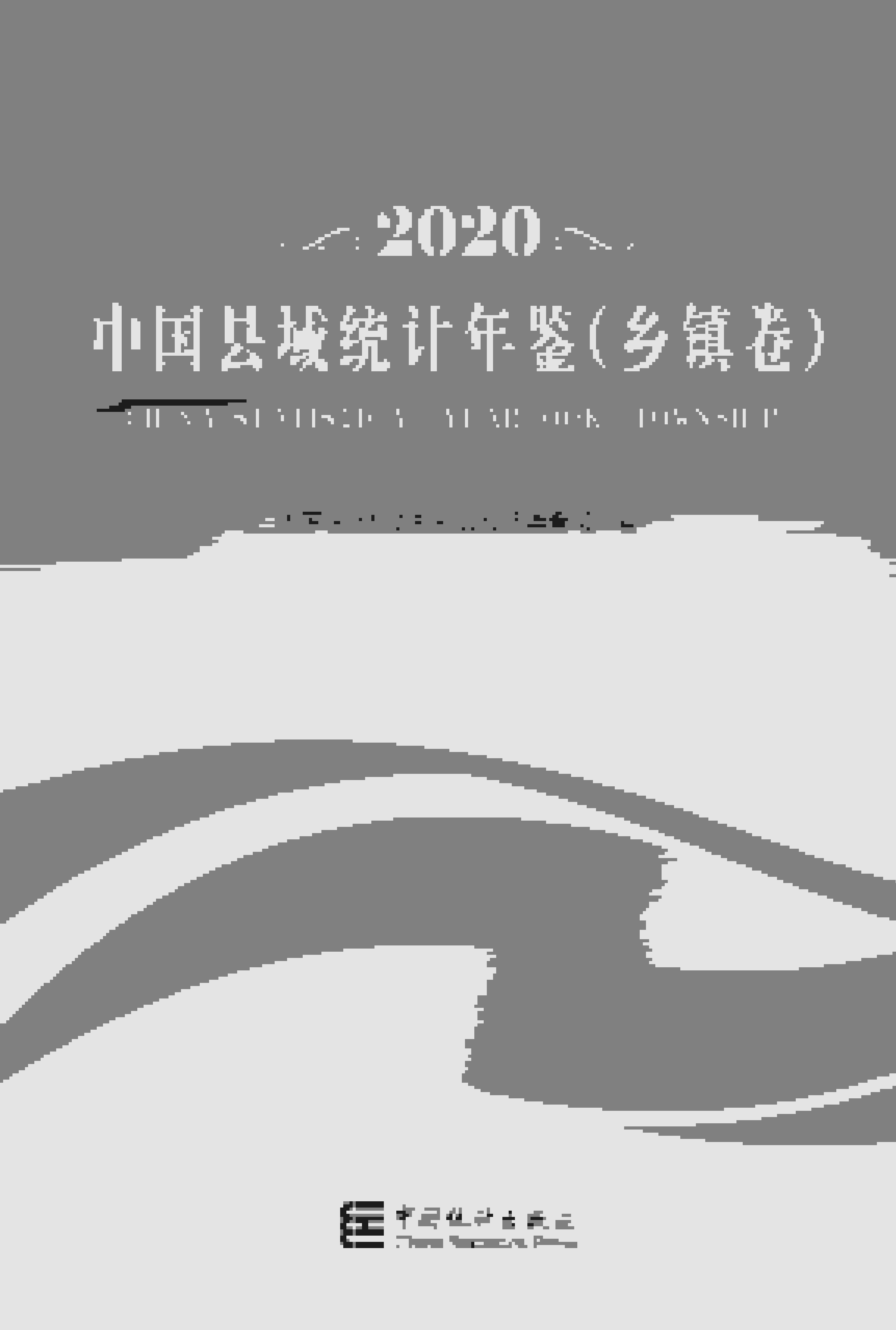 2020年中国县域统计年鉴封面
