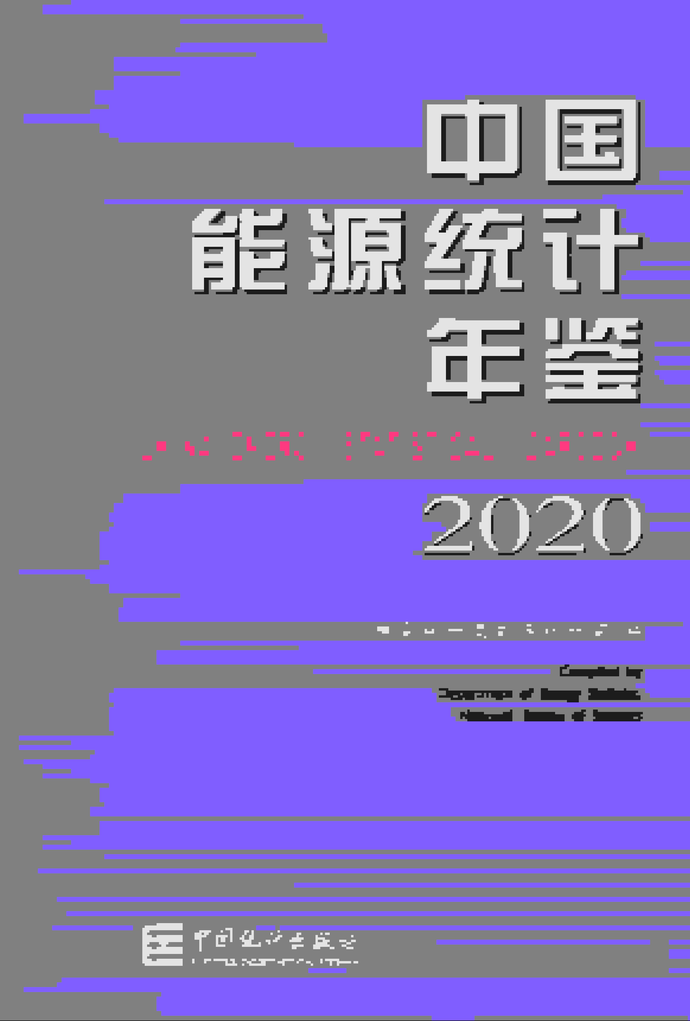 2020年中国能源统计年鉴封面