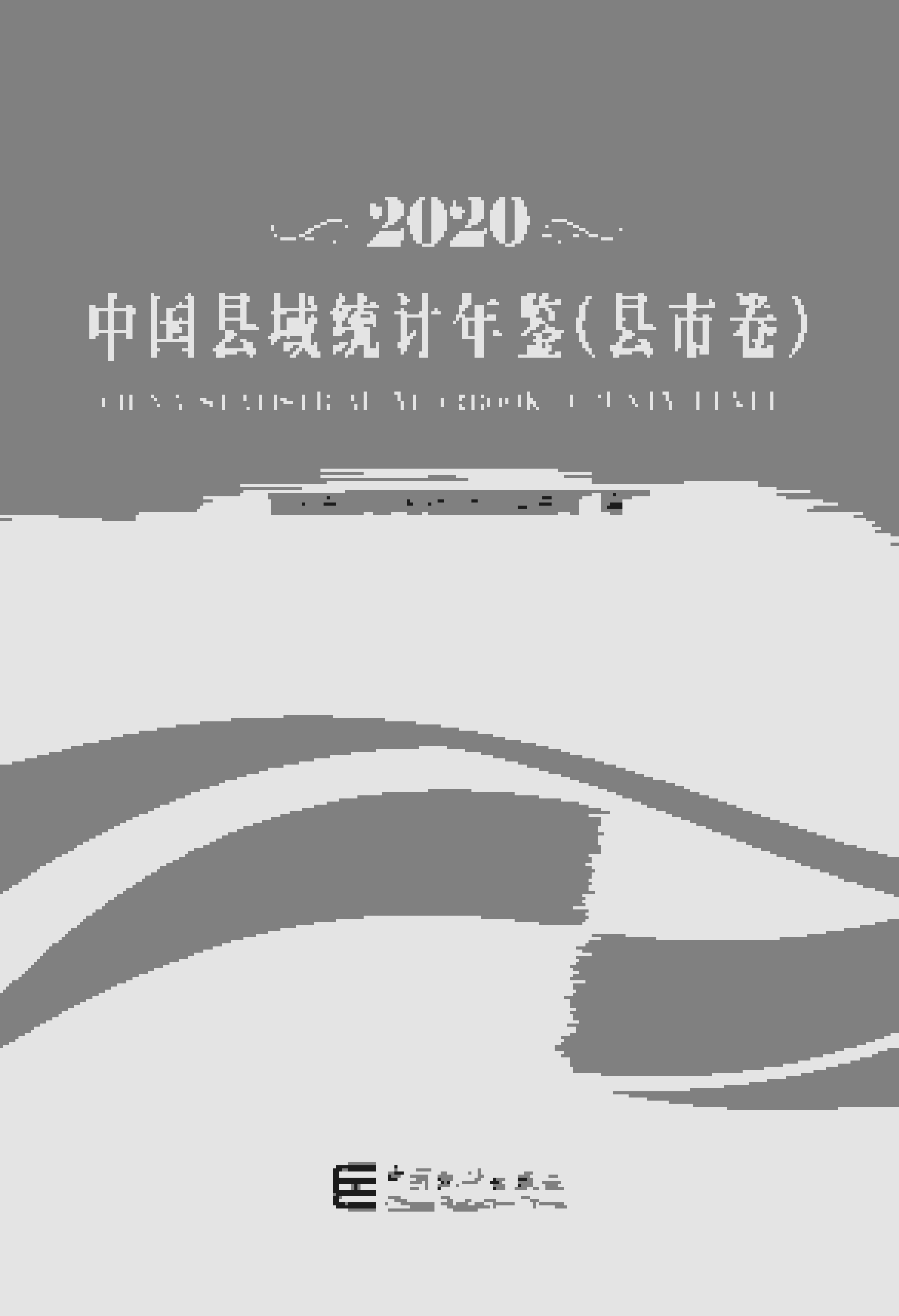 2020年中国县域统计年鉴封面