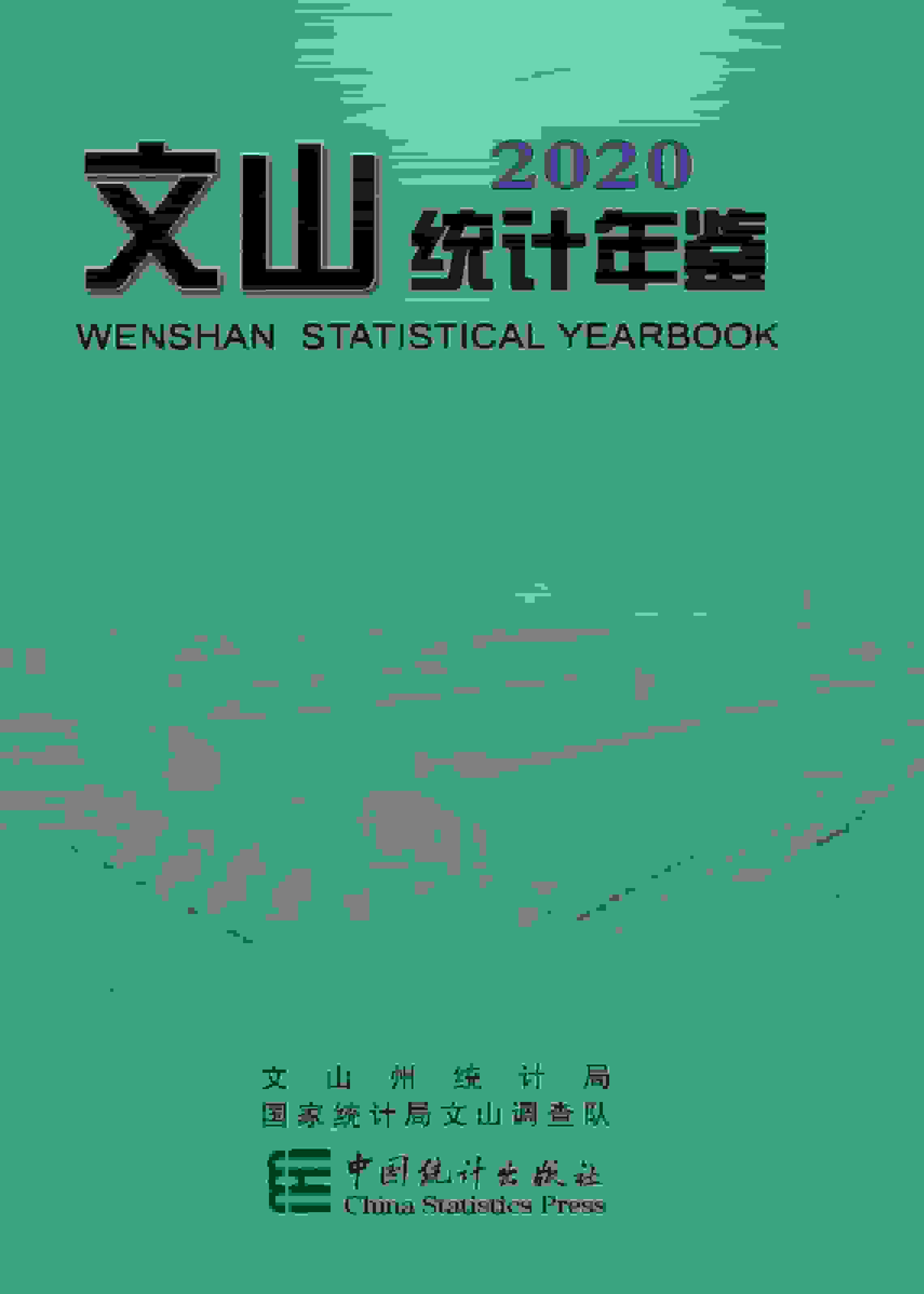 2020年文山州统计年鉴封面