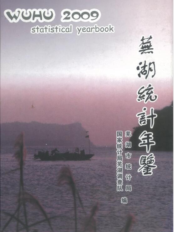 2009年芜湖统计年鉴封面
