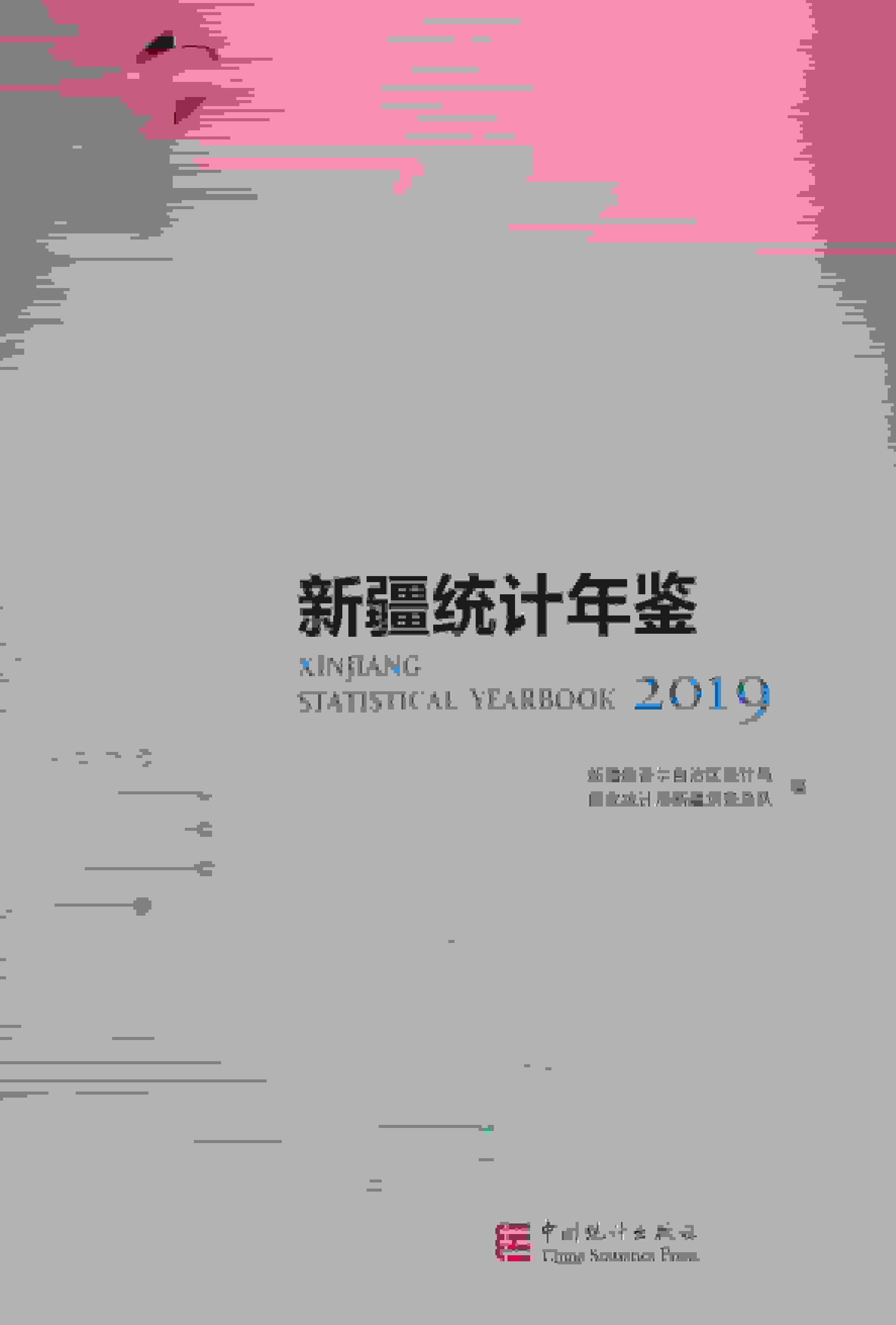 2019年新疆统计年鉴封面