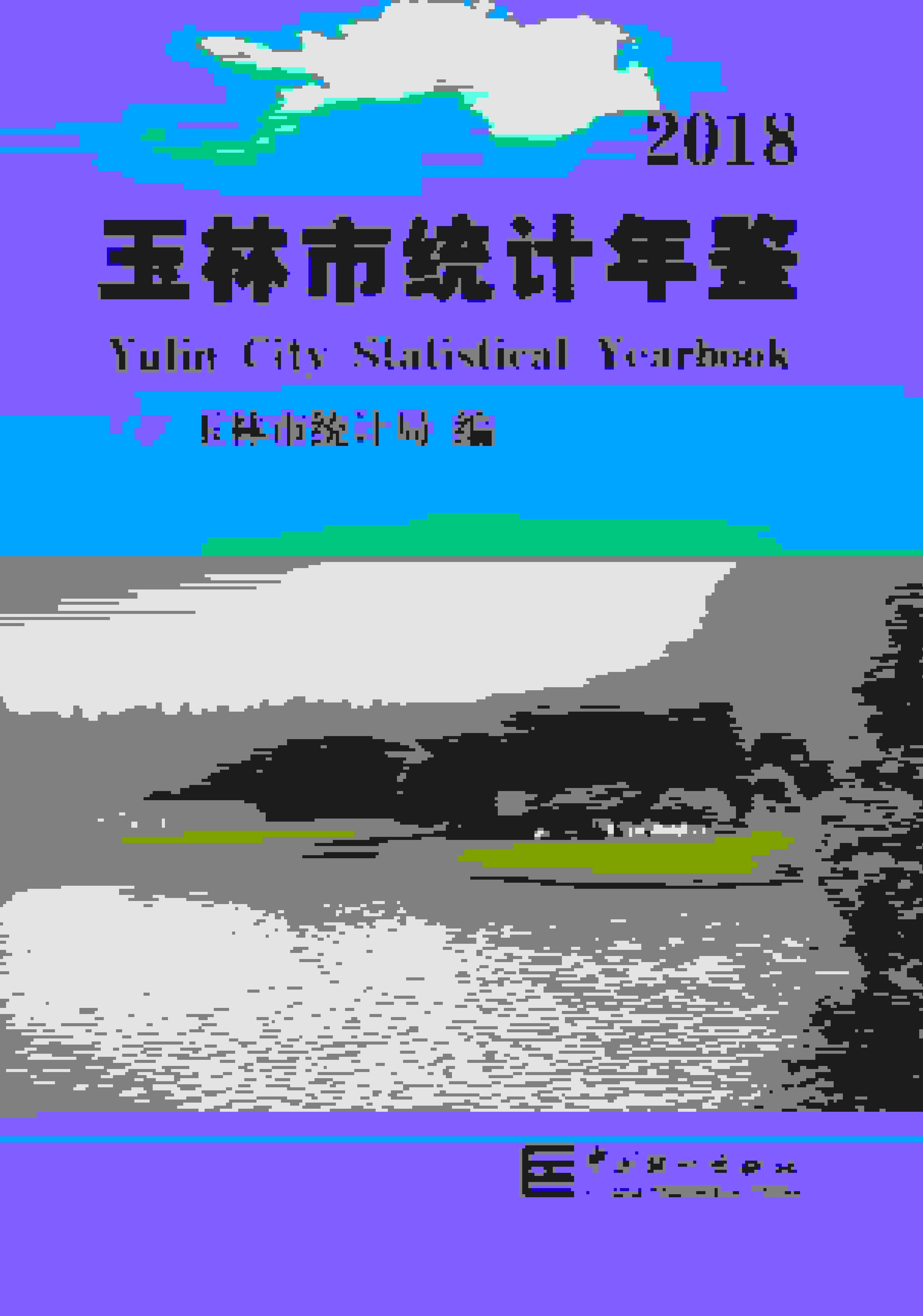 2018年玉林统计年鉴封面