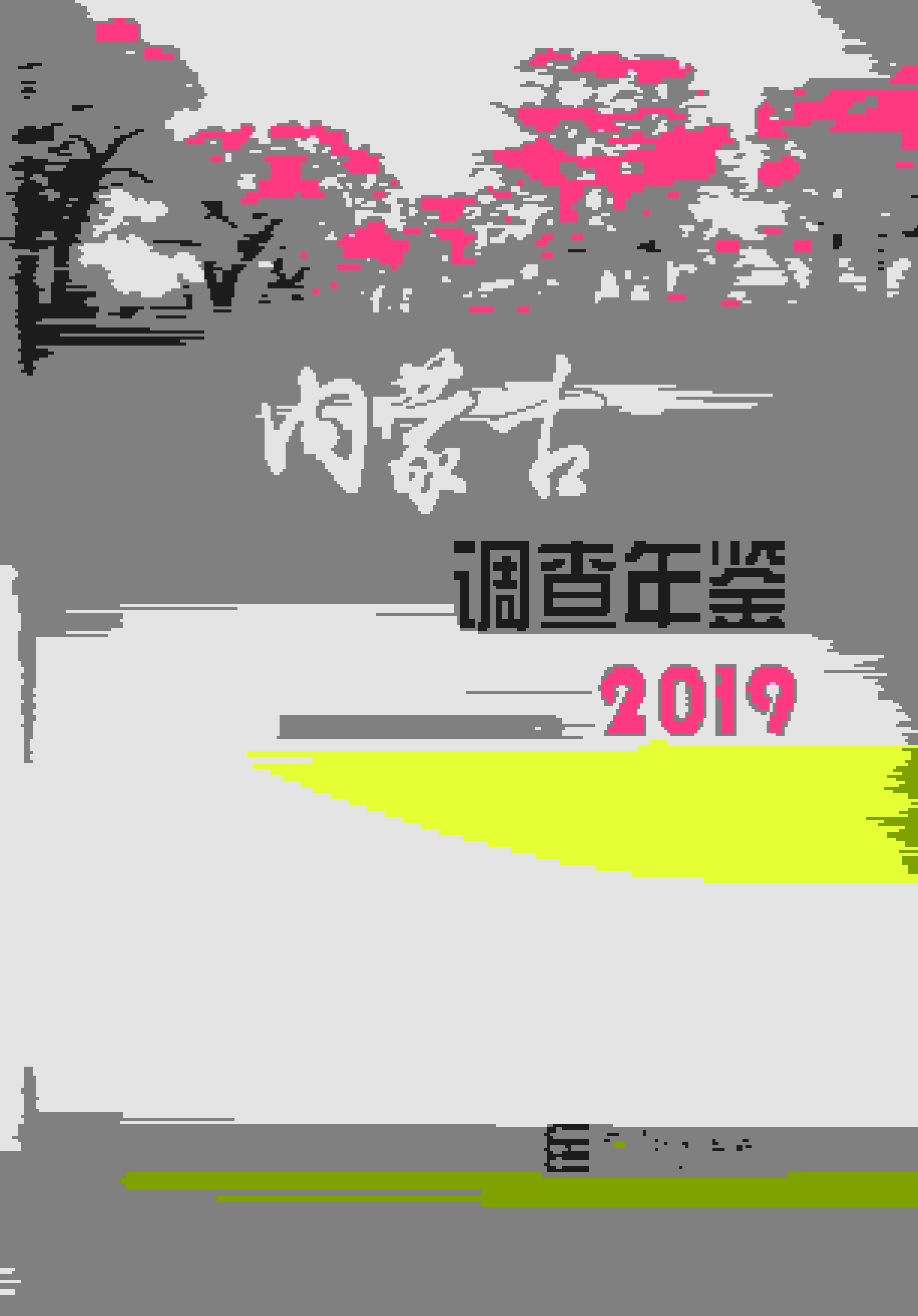 2019年内蒙古调查年鉴封面