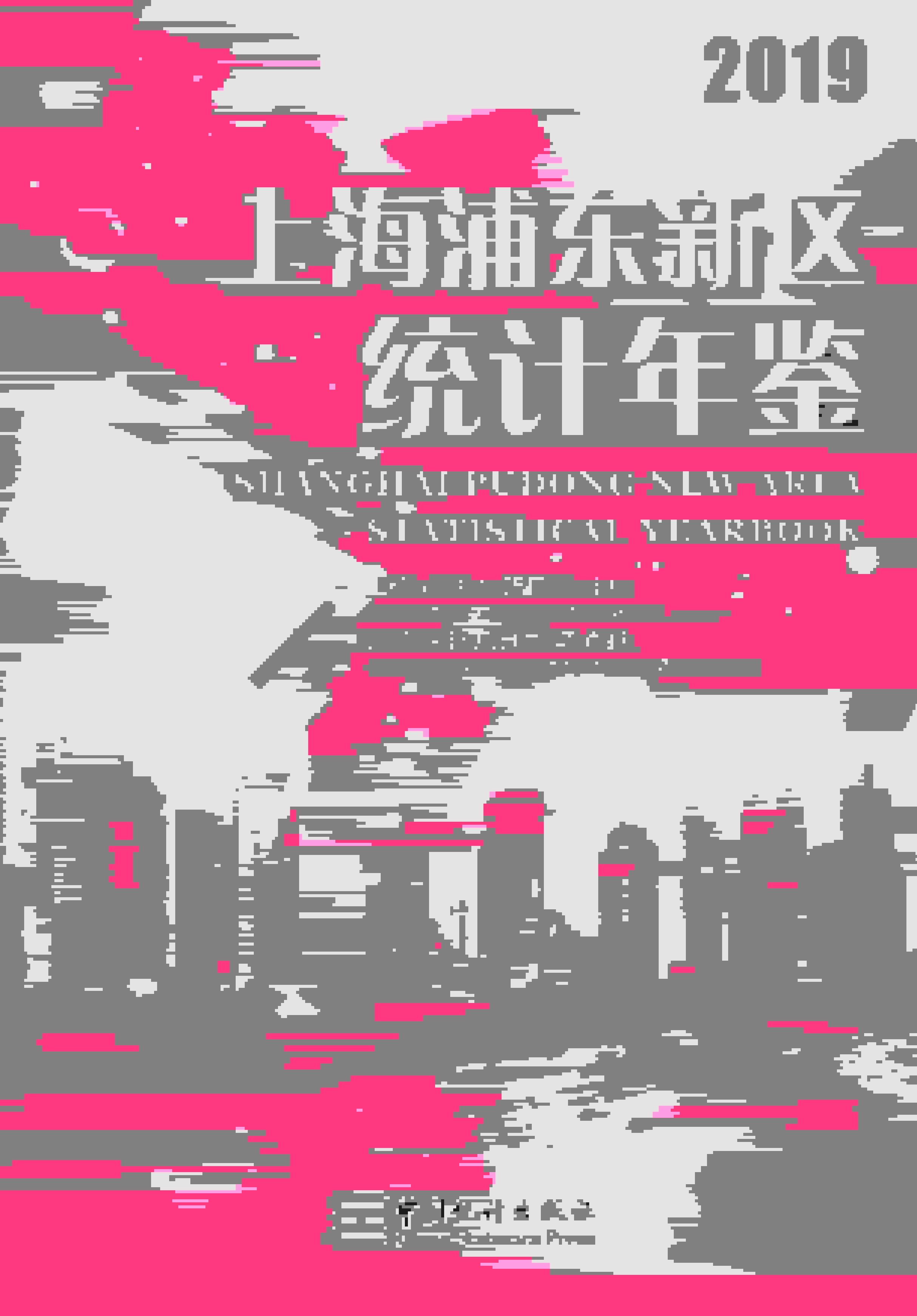2019年上海浦东新区统计年鉴封面