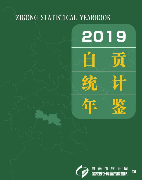 2019年自贡统计年鉴封面