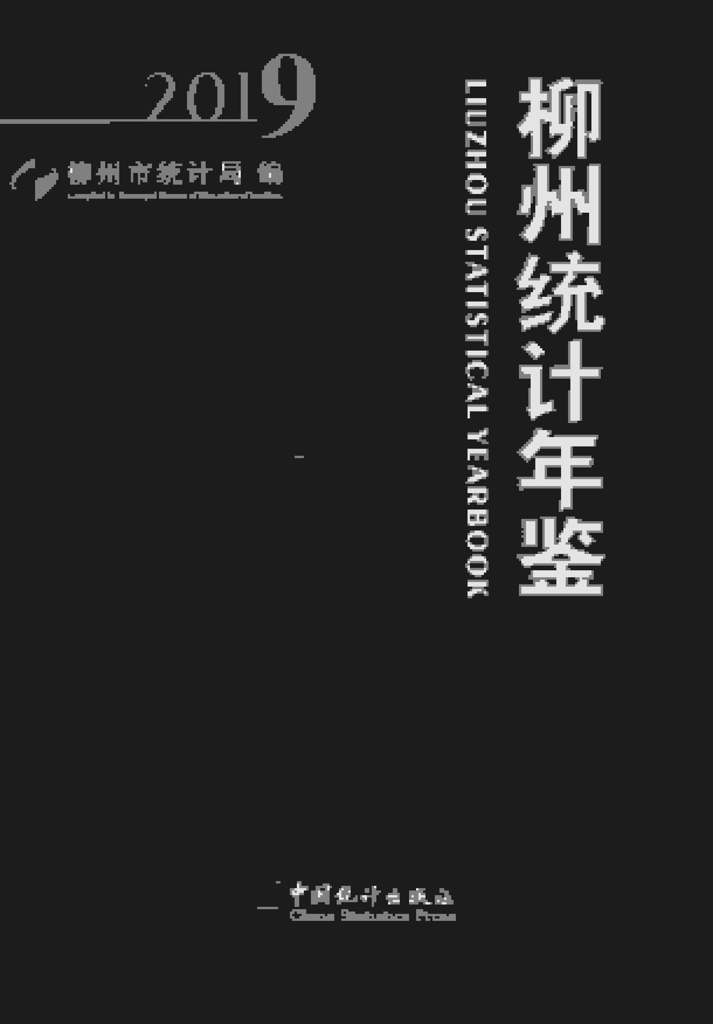 2019年柳州统计年鉴封面