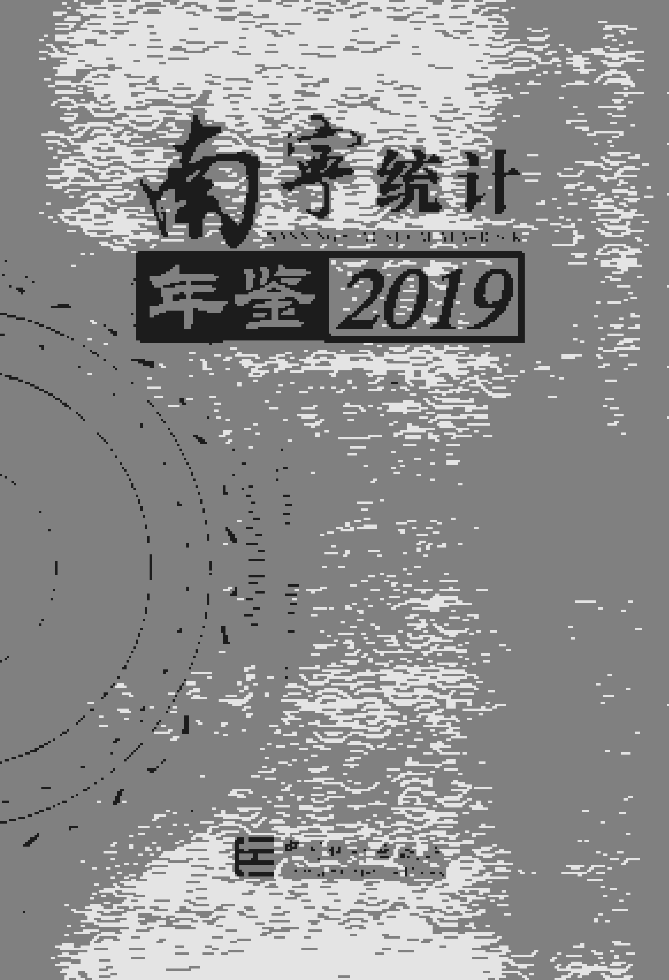 2019年南宁统计年鉴封面
