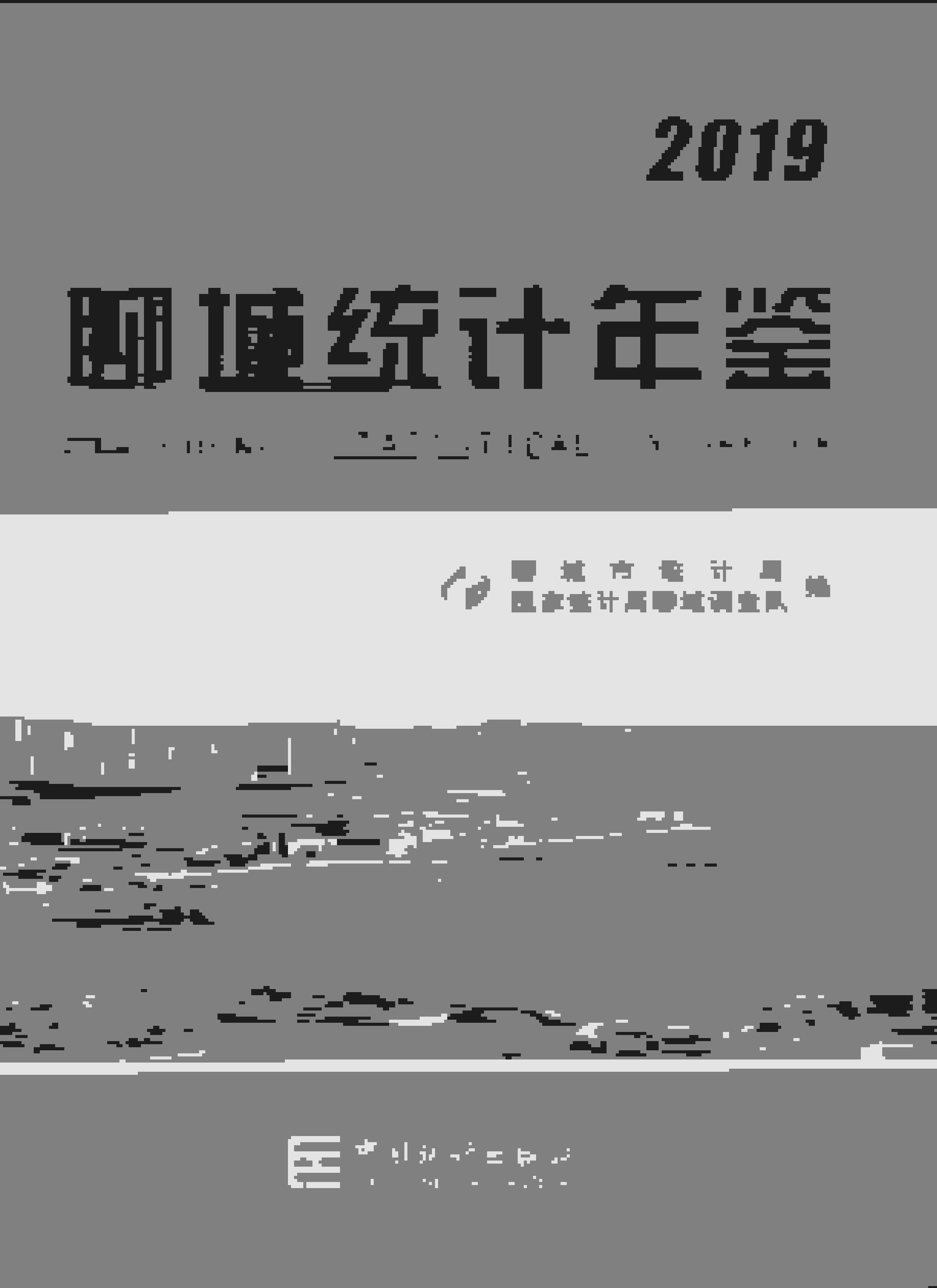 2019年聊城统计年鉴封面