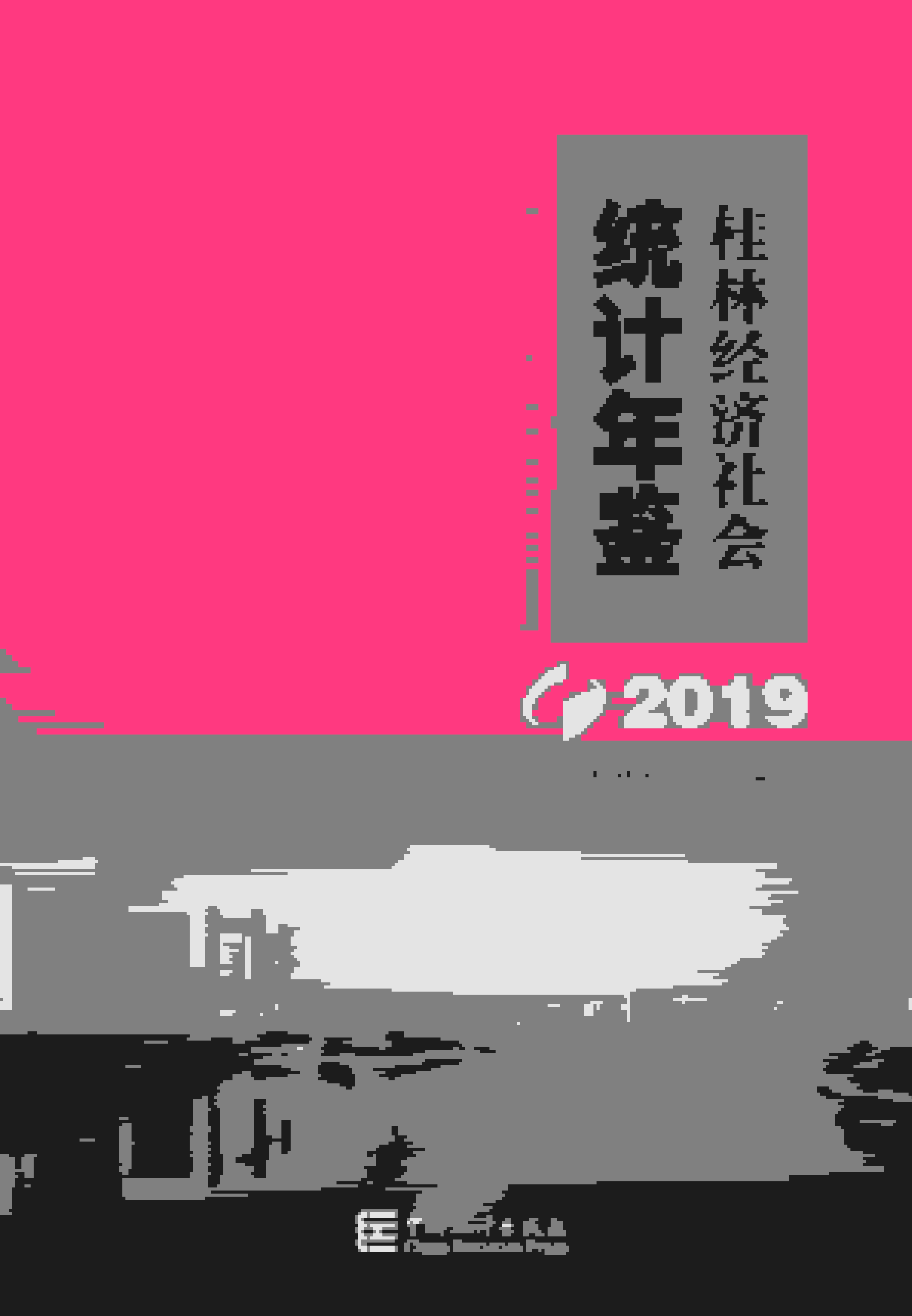 2019年桂林经济社会统计年鉴封面