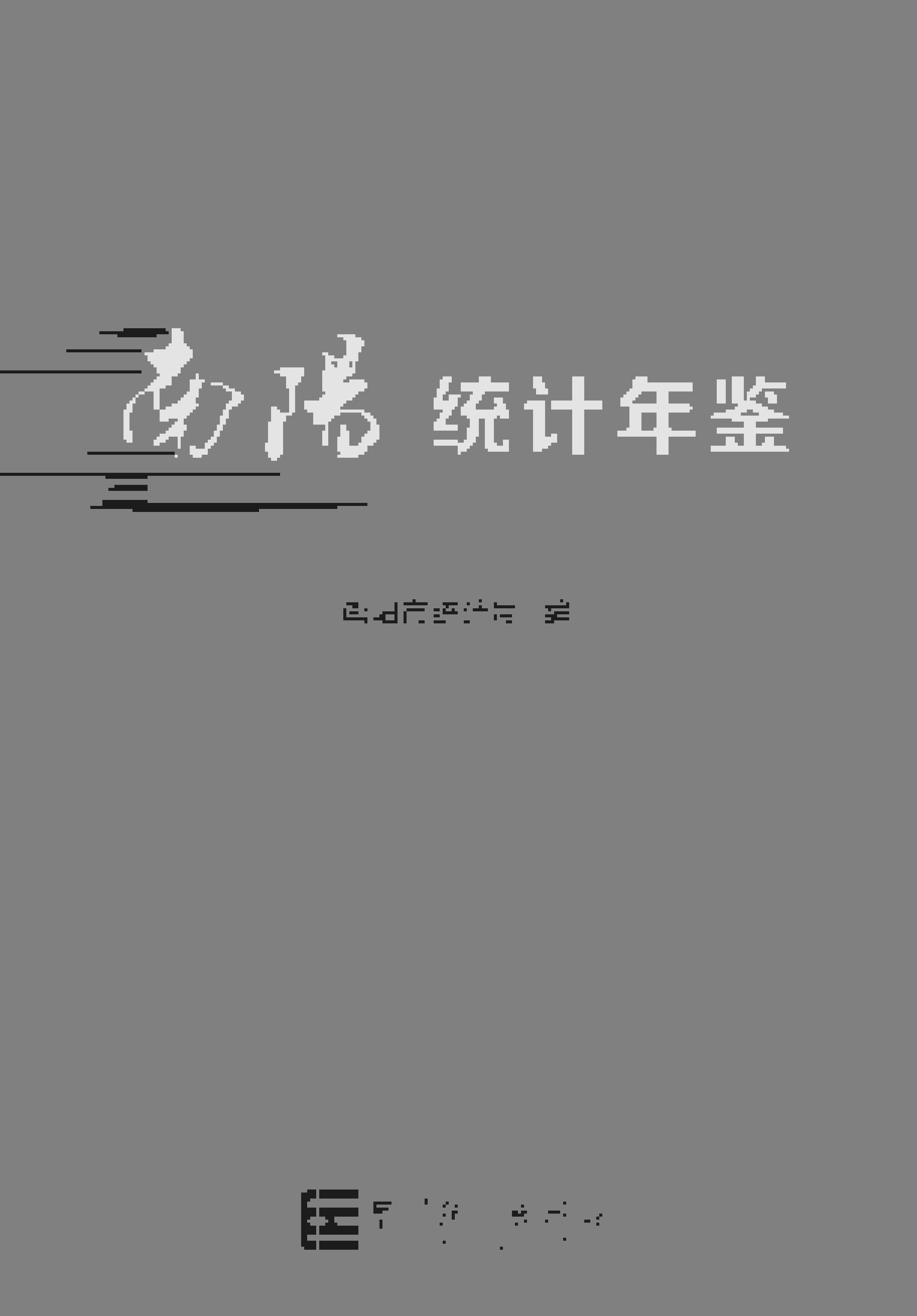 2019年南阳统计年鉴封面