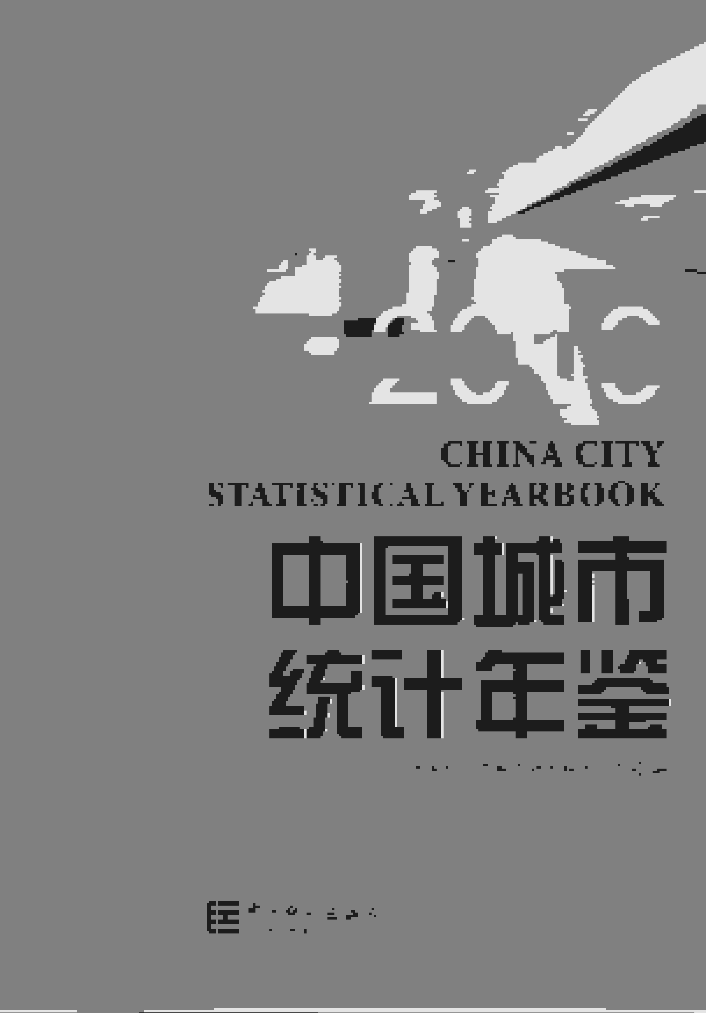 2019年中国城市统计年鉴封面