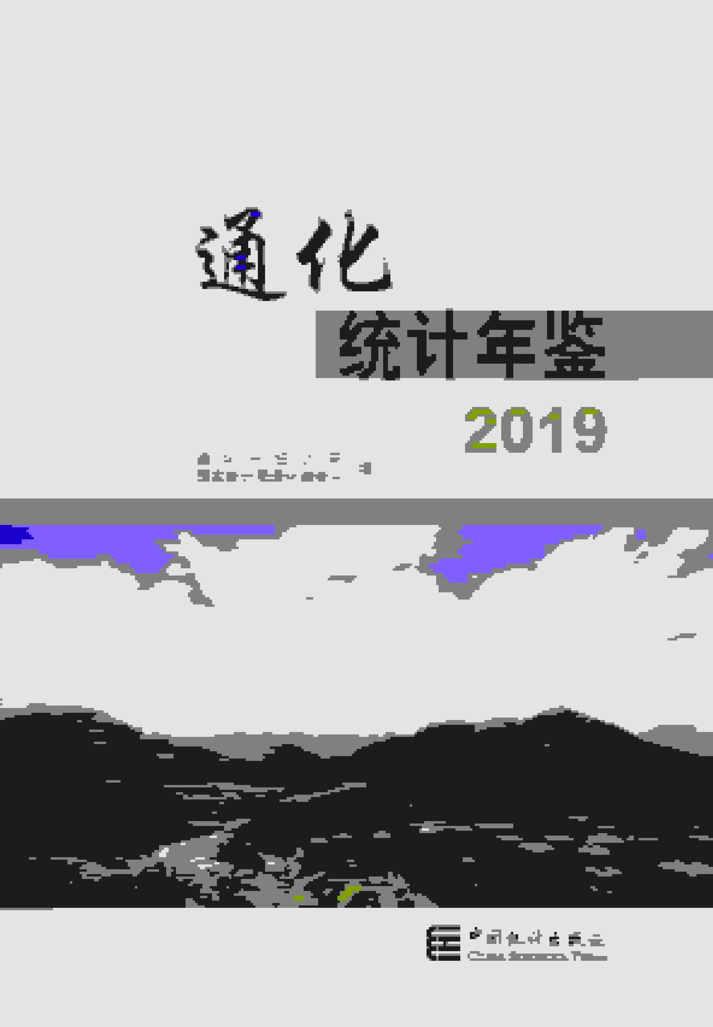 2019年通化统计年鉴封面