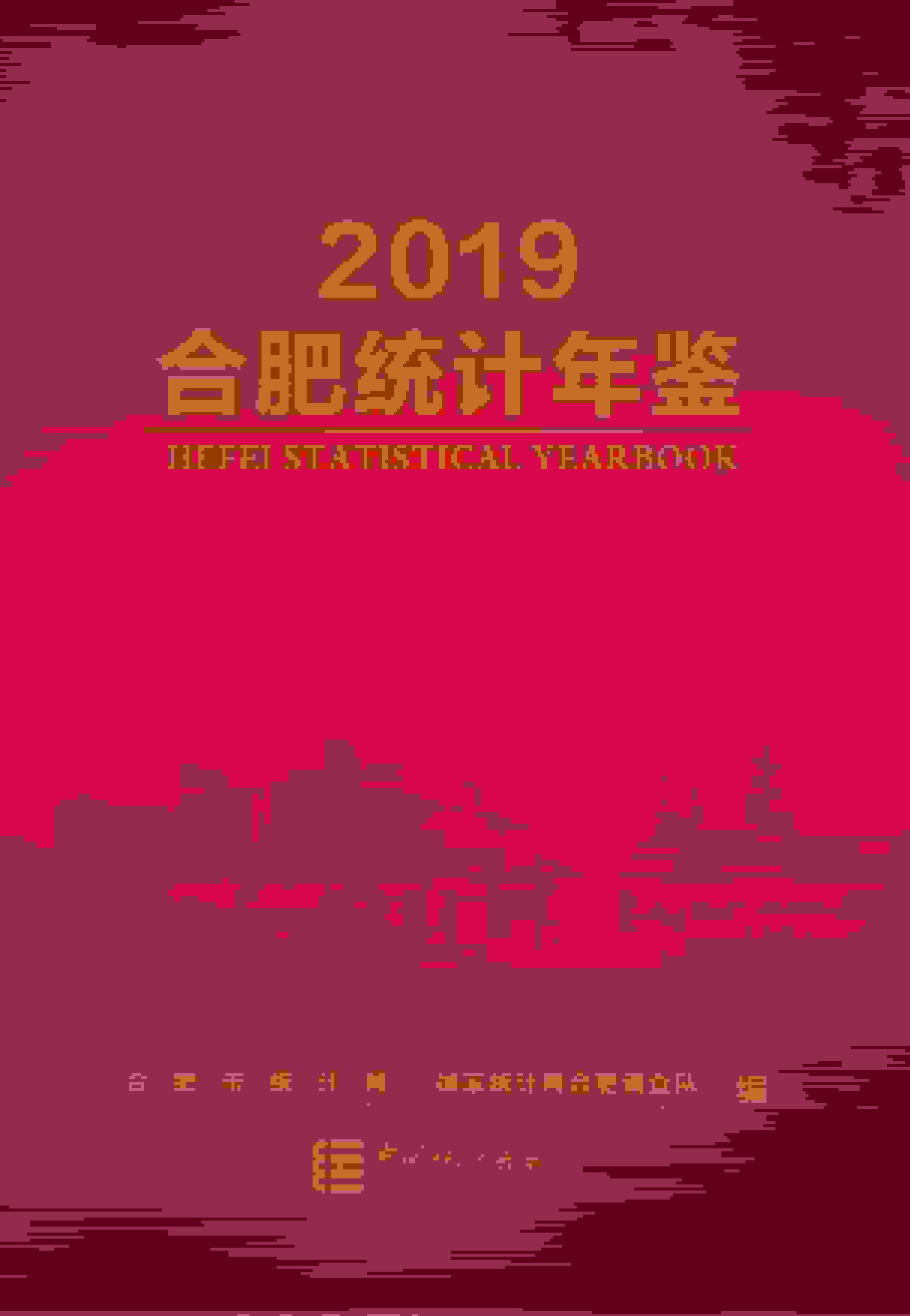 2019年合肥统计年鉴封面