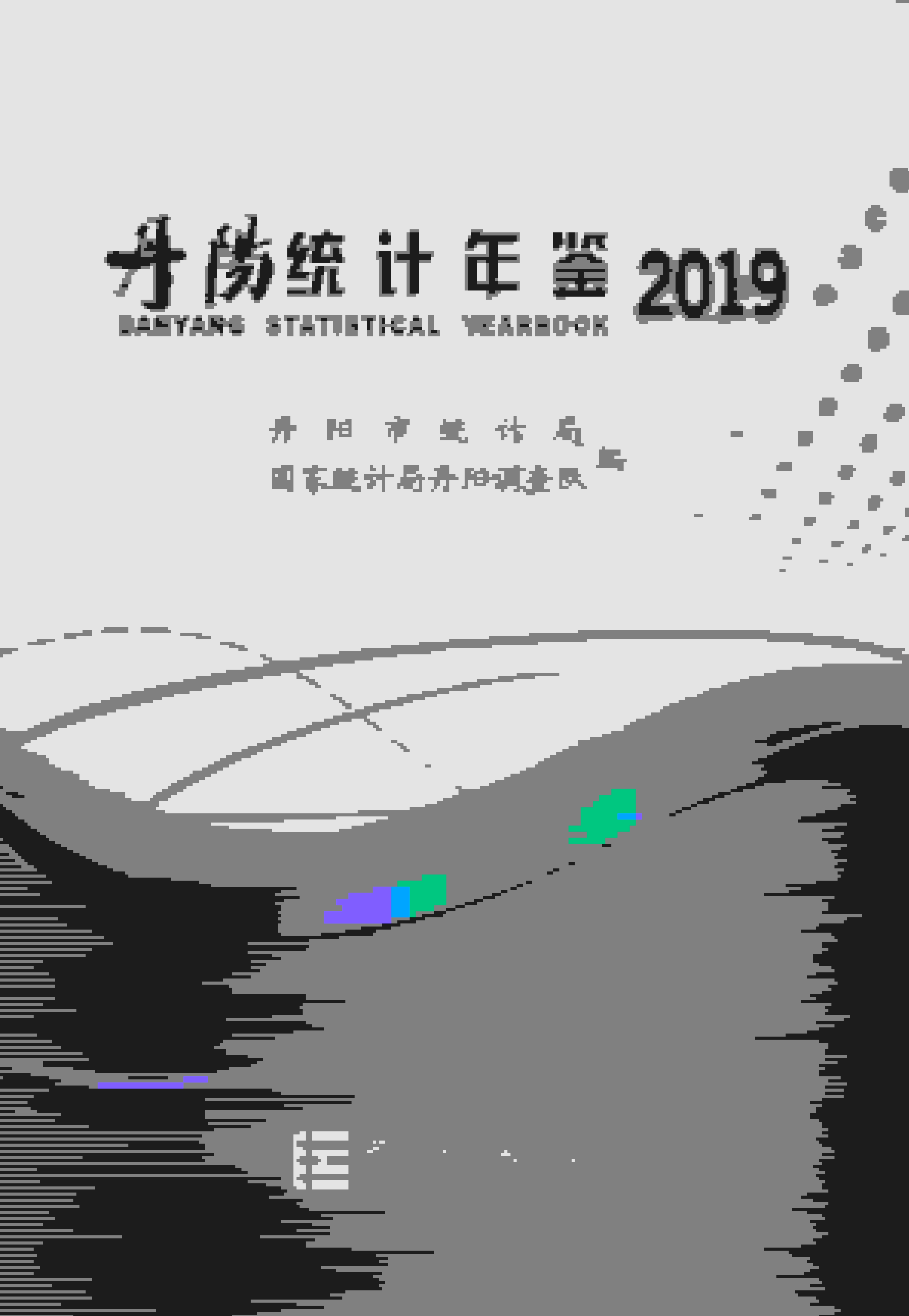 2019年丹阳统计年鉴封面