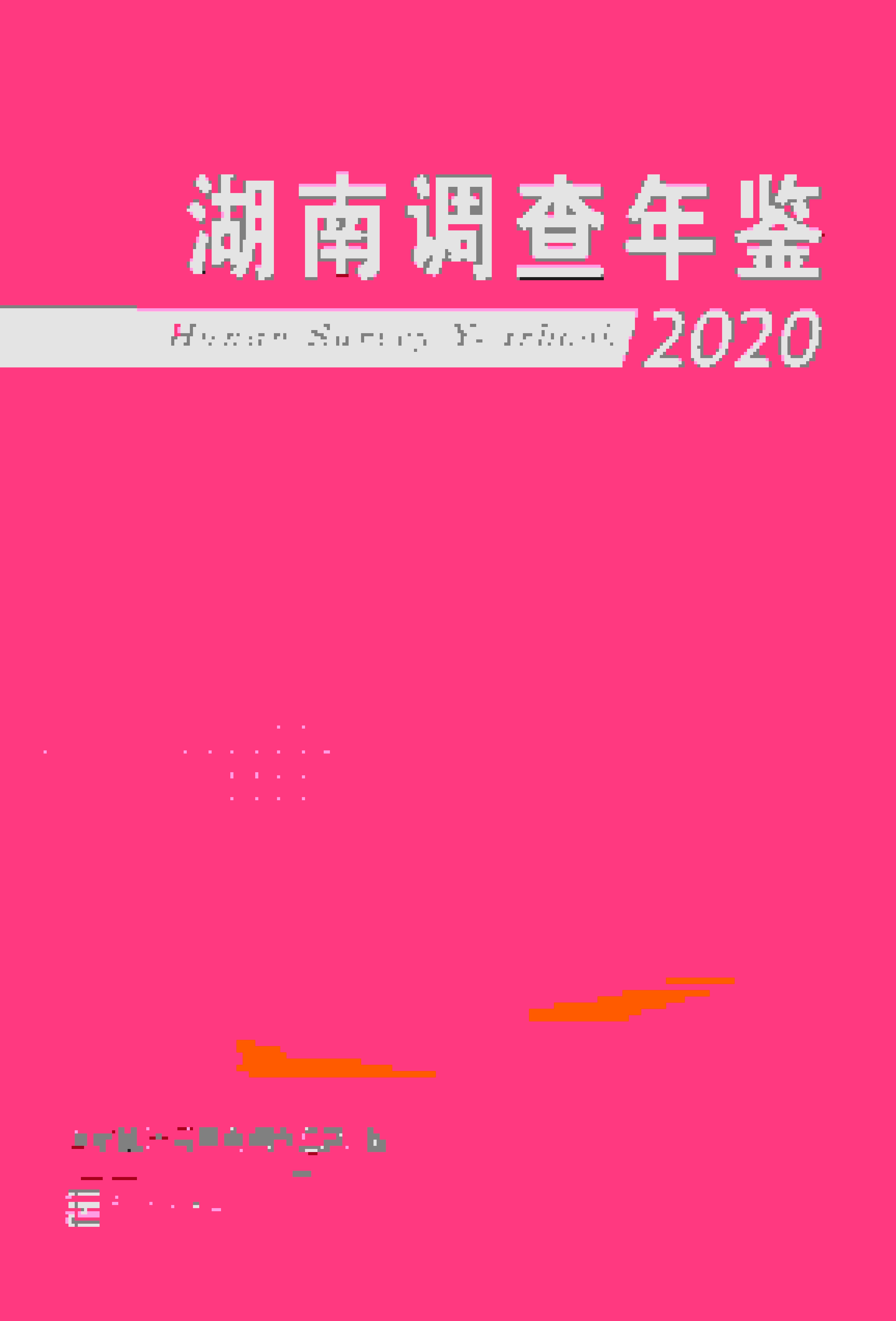 2020年湖南调查年鉴封面