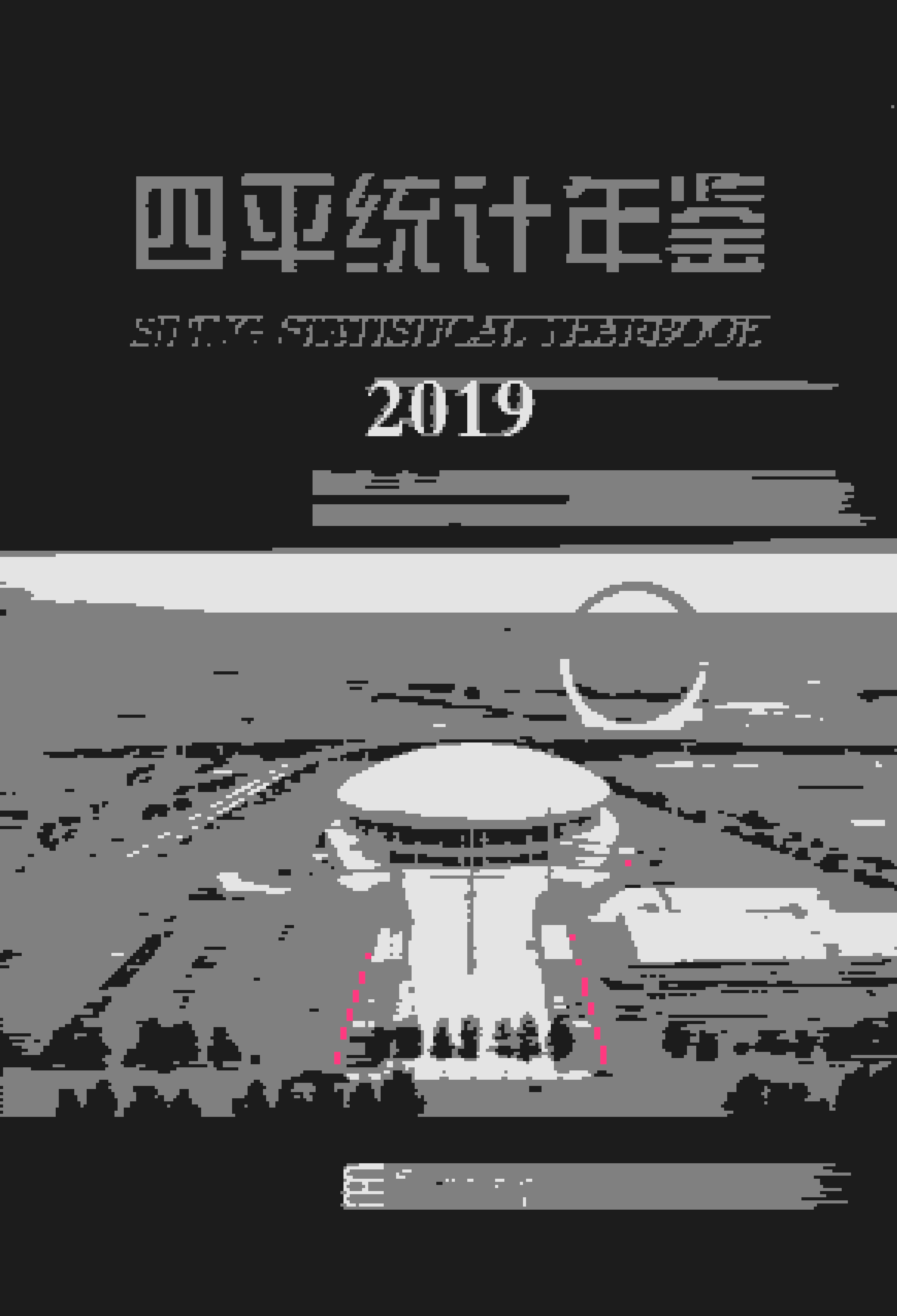 2019年四平统计年鉴封面