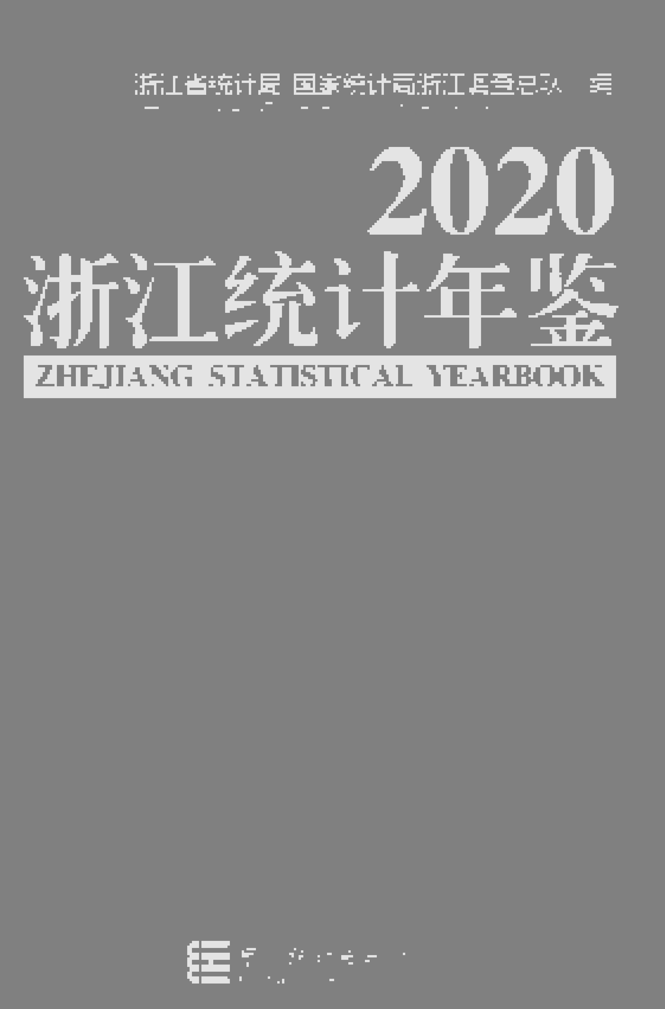 2020年浙江统计年鉴封面