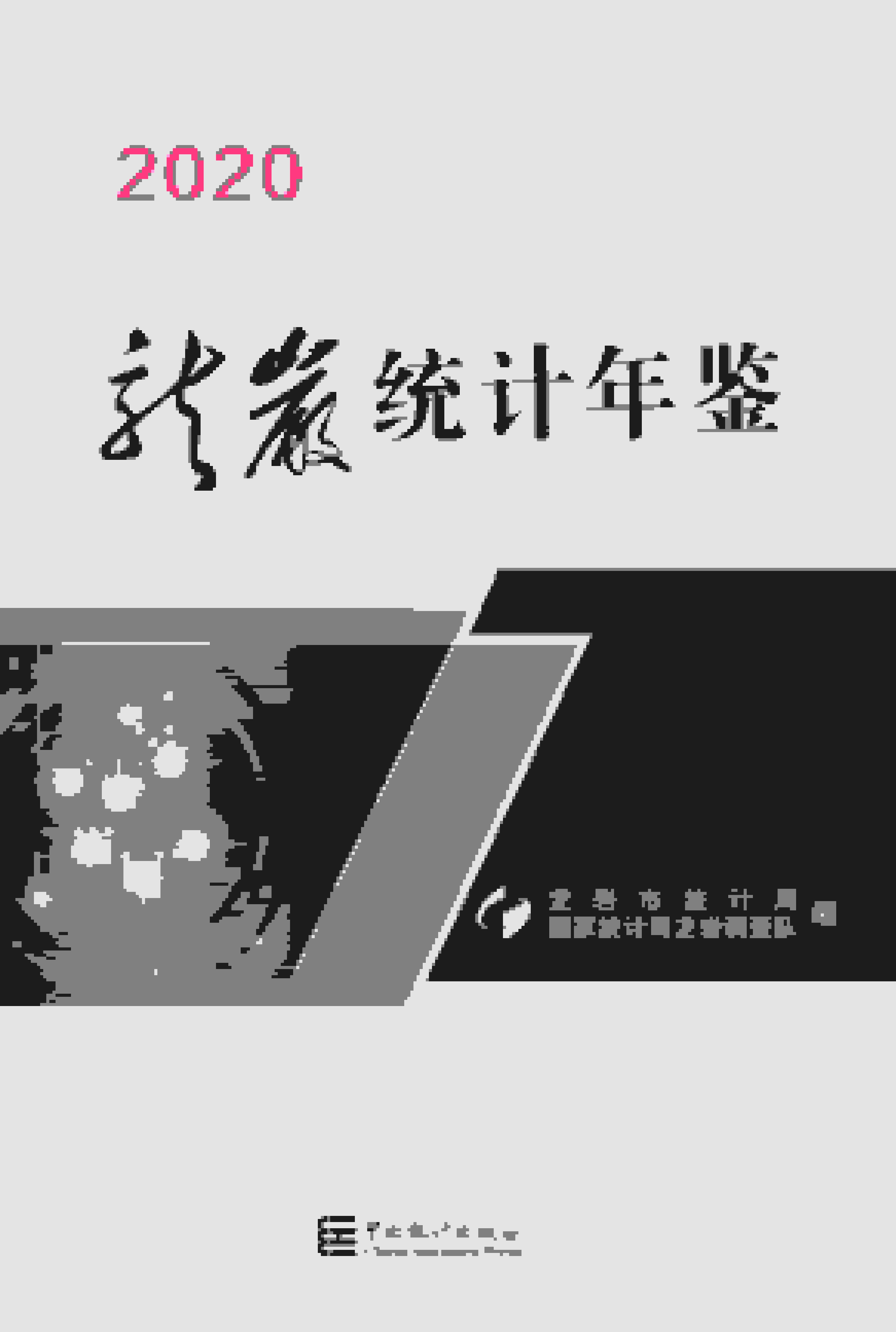 2020年龙岩统计年鉴封面