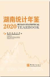 2020年湖南统计年鉴封面