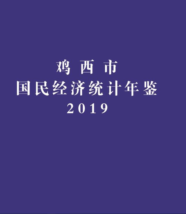 2019年鸡西统计年鉴封面