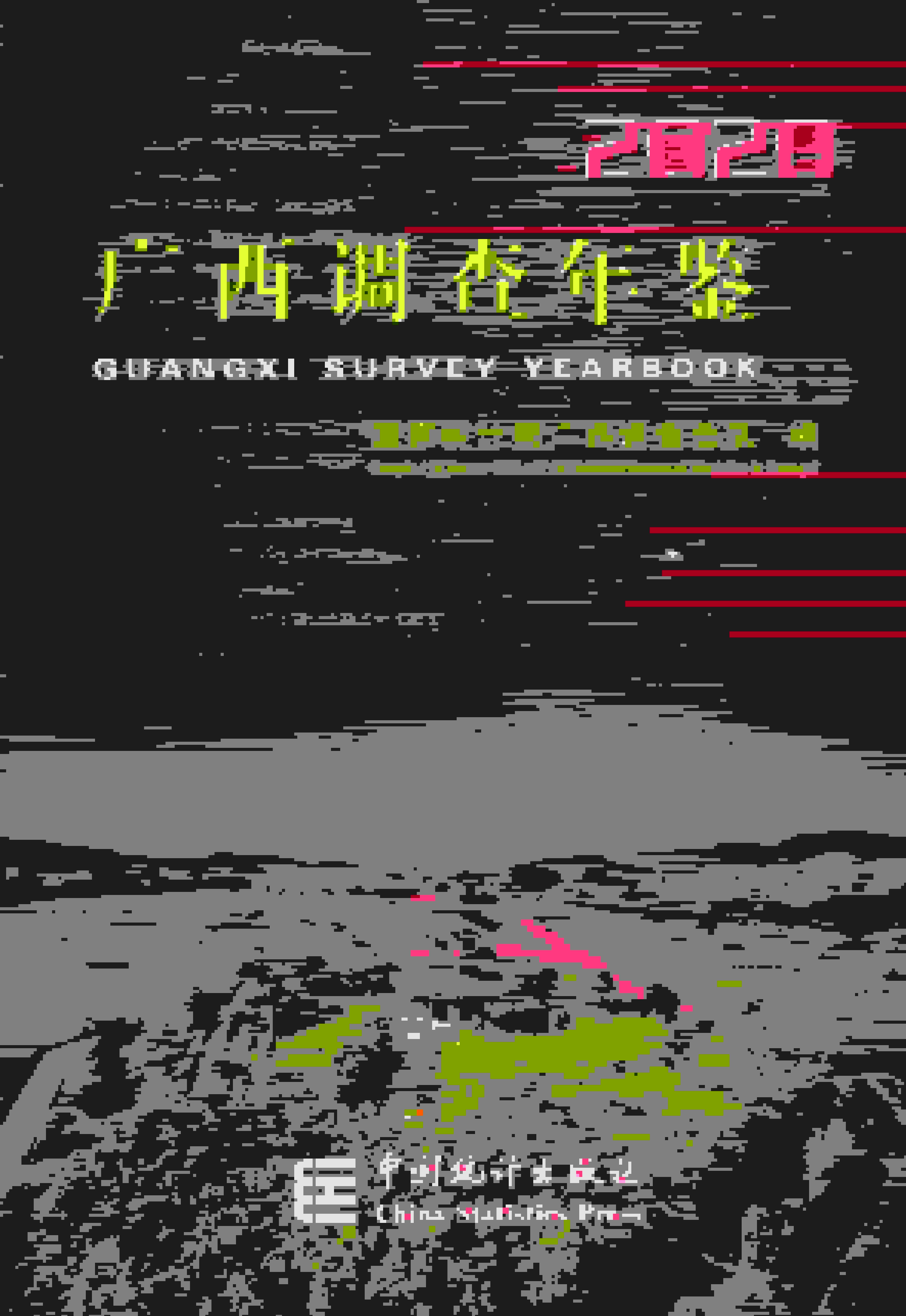 2020年广西调查年鉴封面