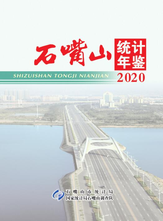2020年石嘴山统计年鉴封面