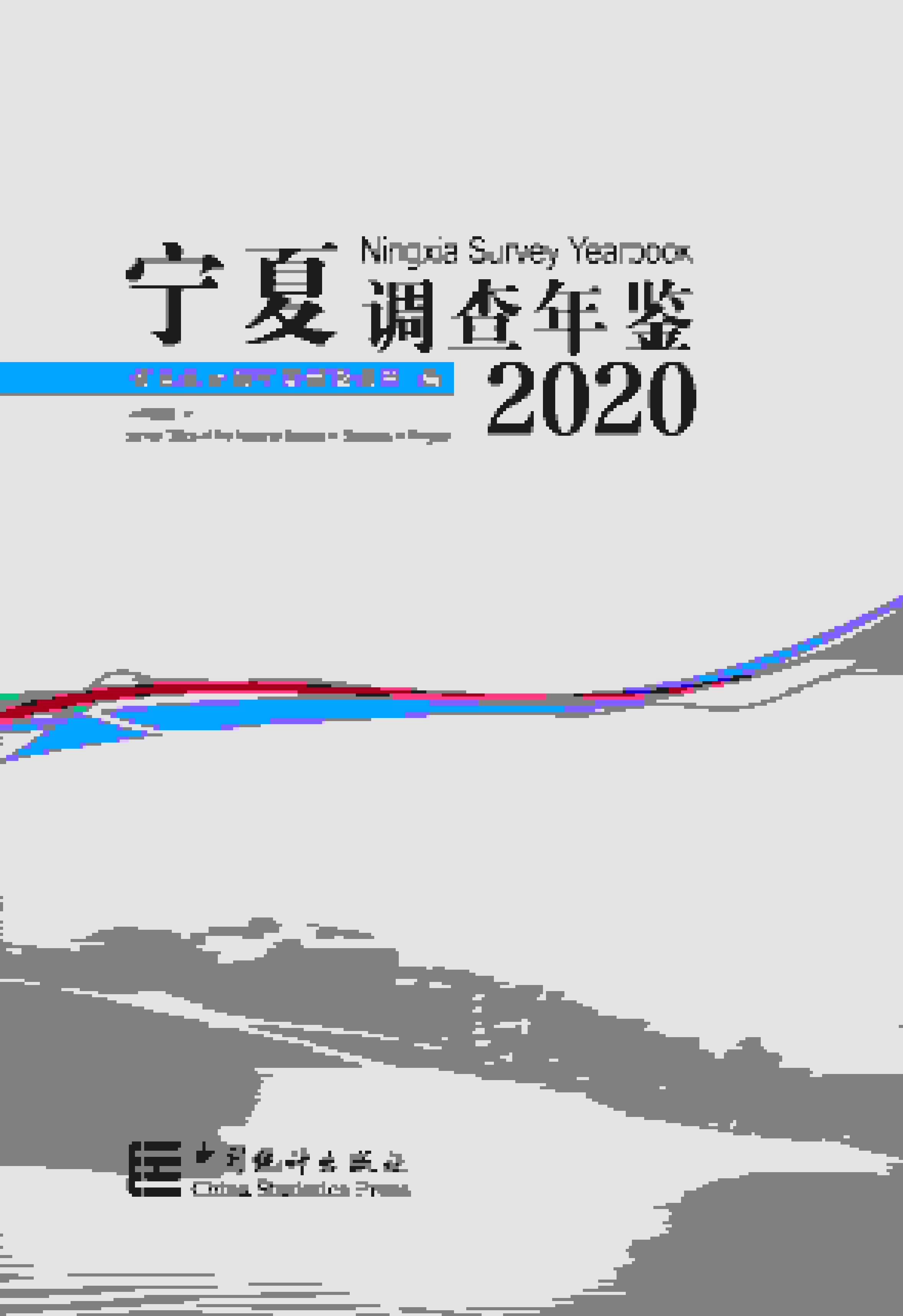 2020年宁夏调查年鉴封面