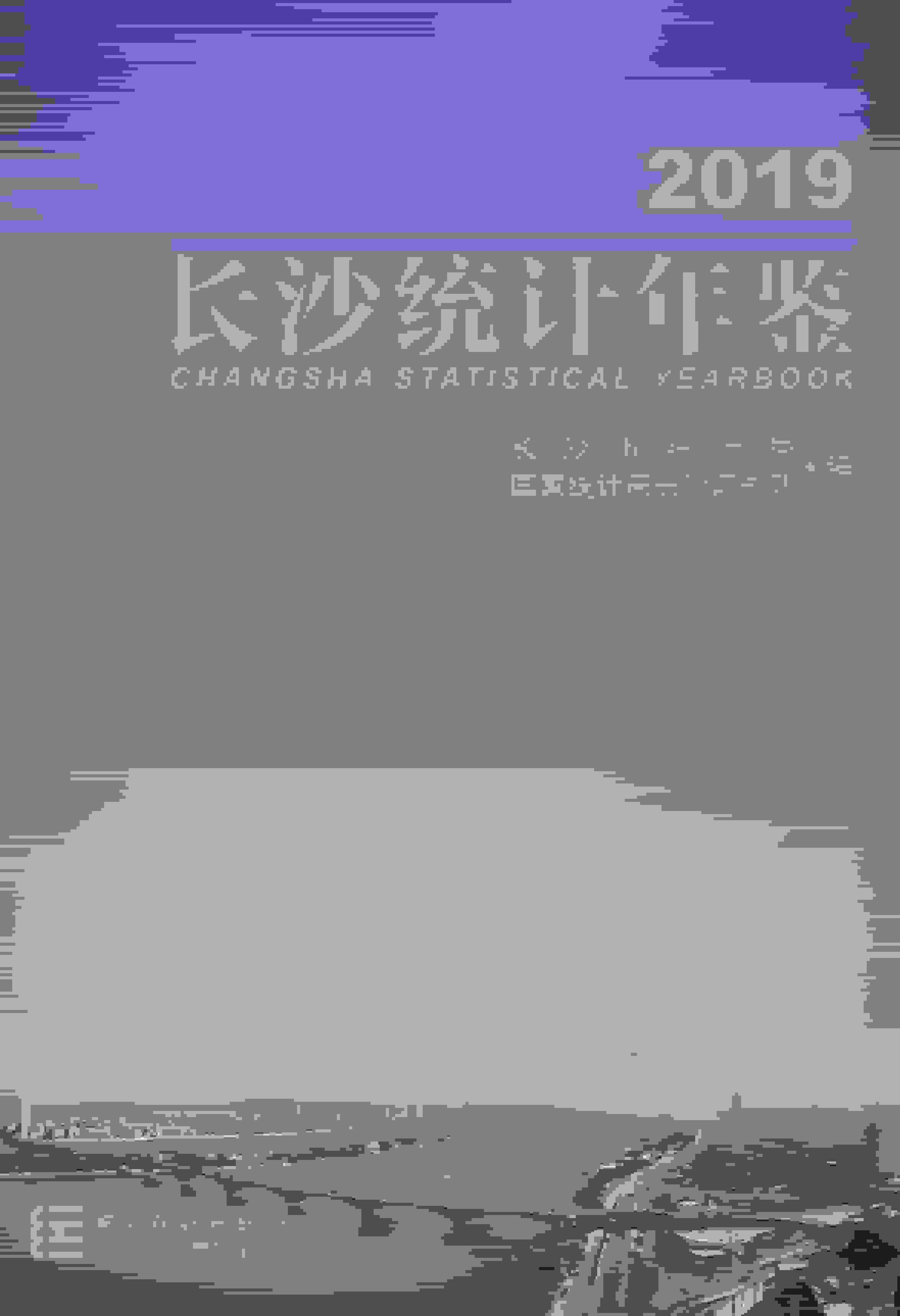 2019年长沙统计年鉴封面