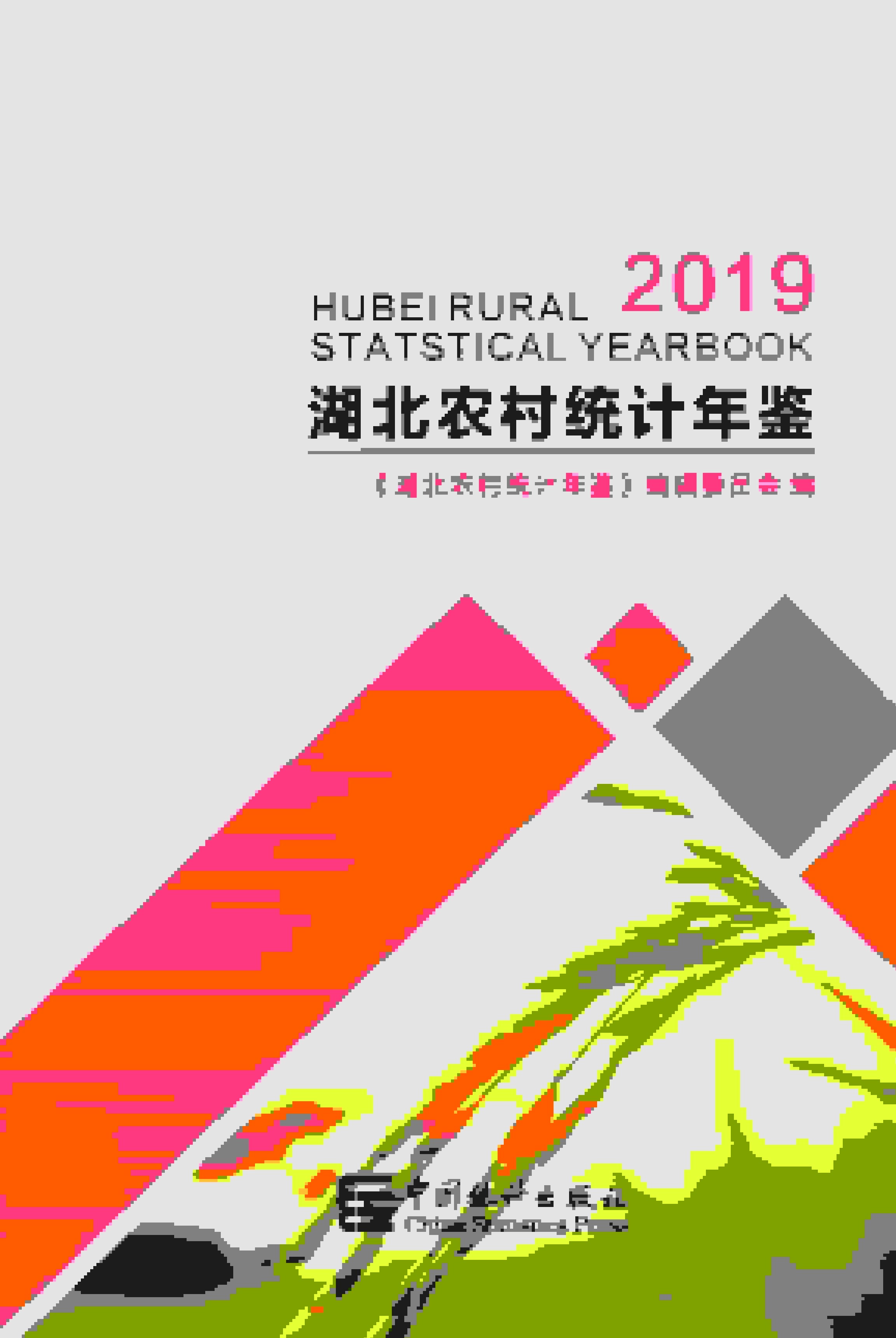 2019年湖北农村统计年鉴封面