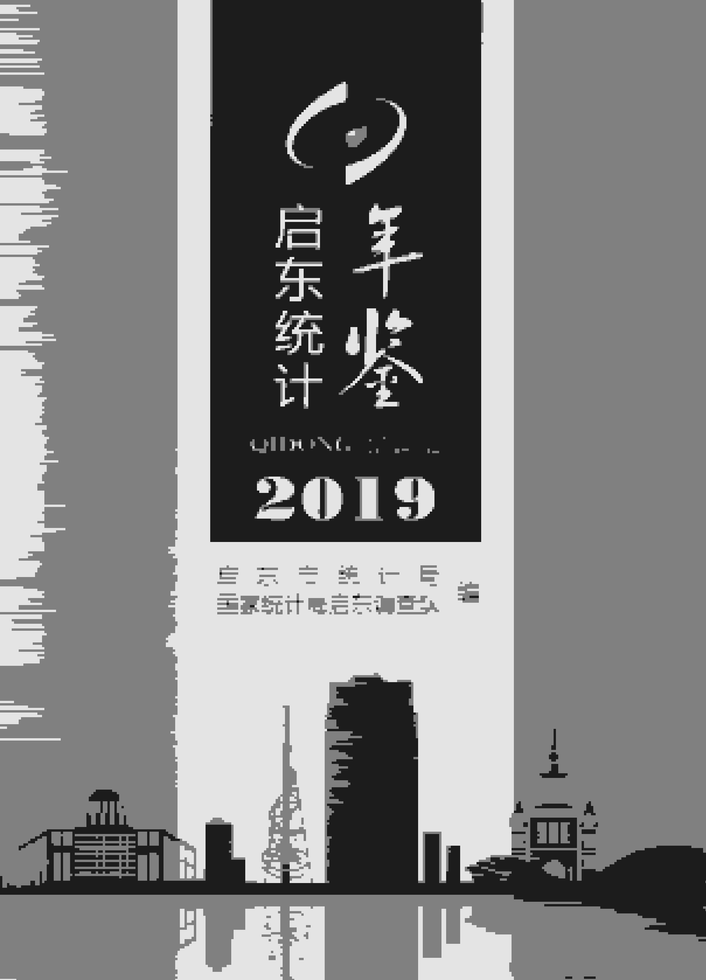 2019年启东统计年鉴封面